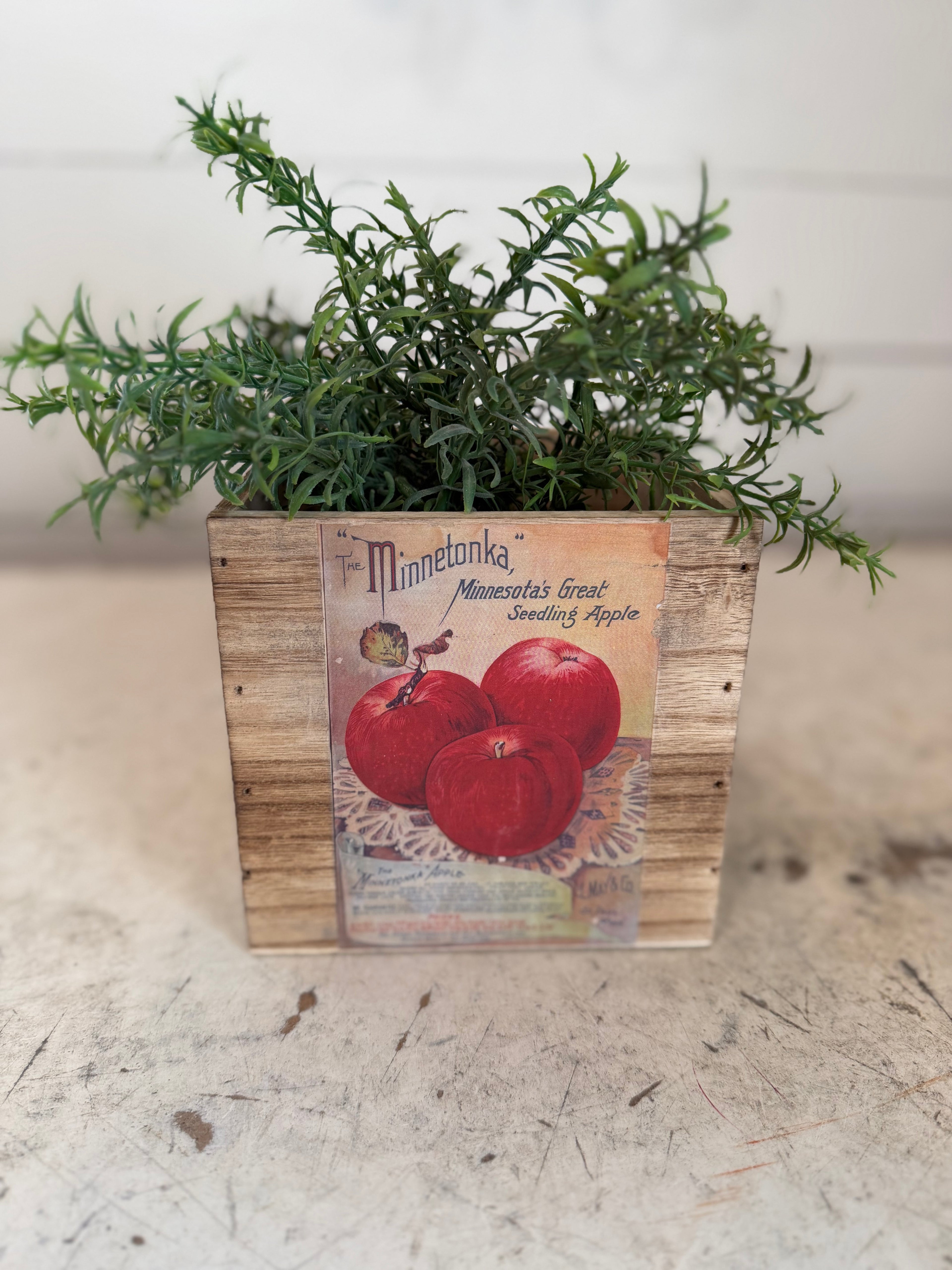 Vintage style fruit Box greenery not included