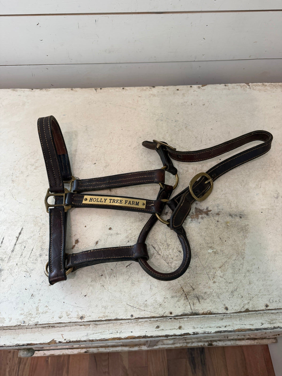 Leather horse halter with brass plate
