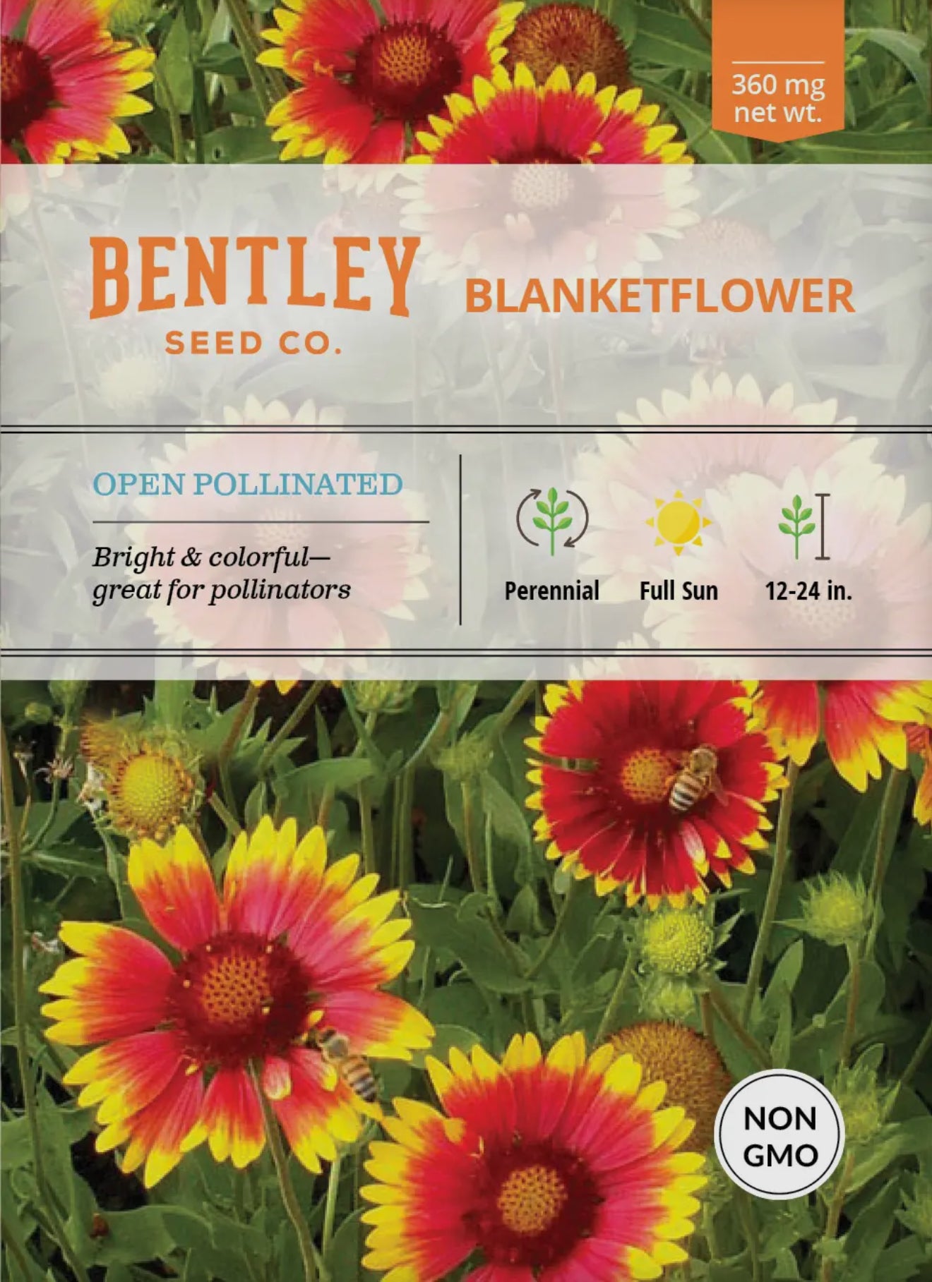 Bentley Seeds
