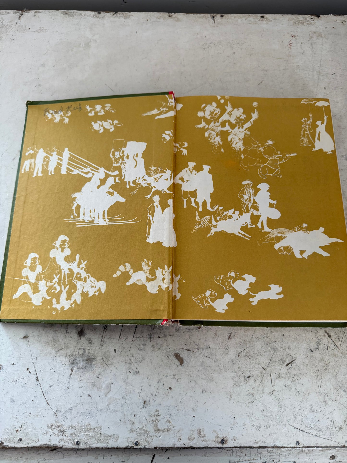 Walt Disney Disney’s fantasy land book