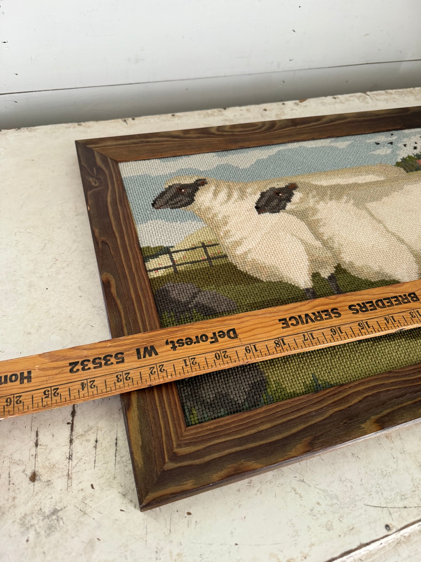 Two Fat Suffolk Lambs Framed Needlepoint