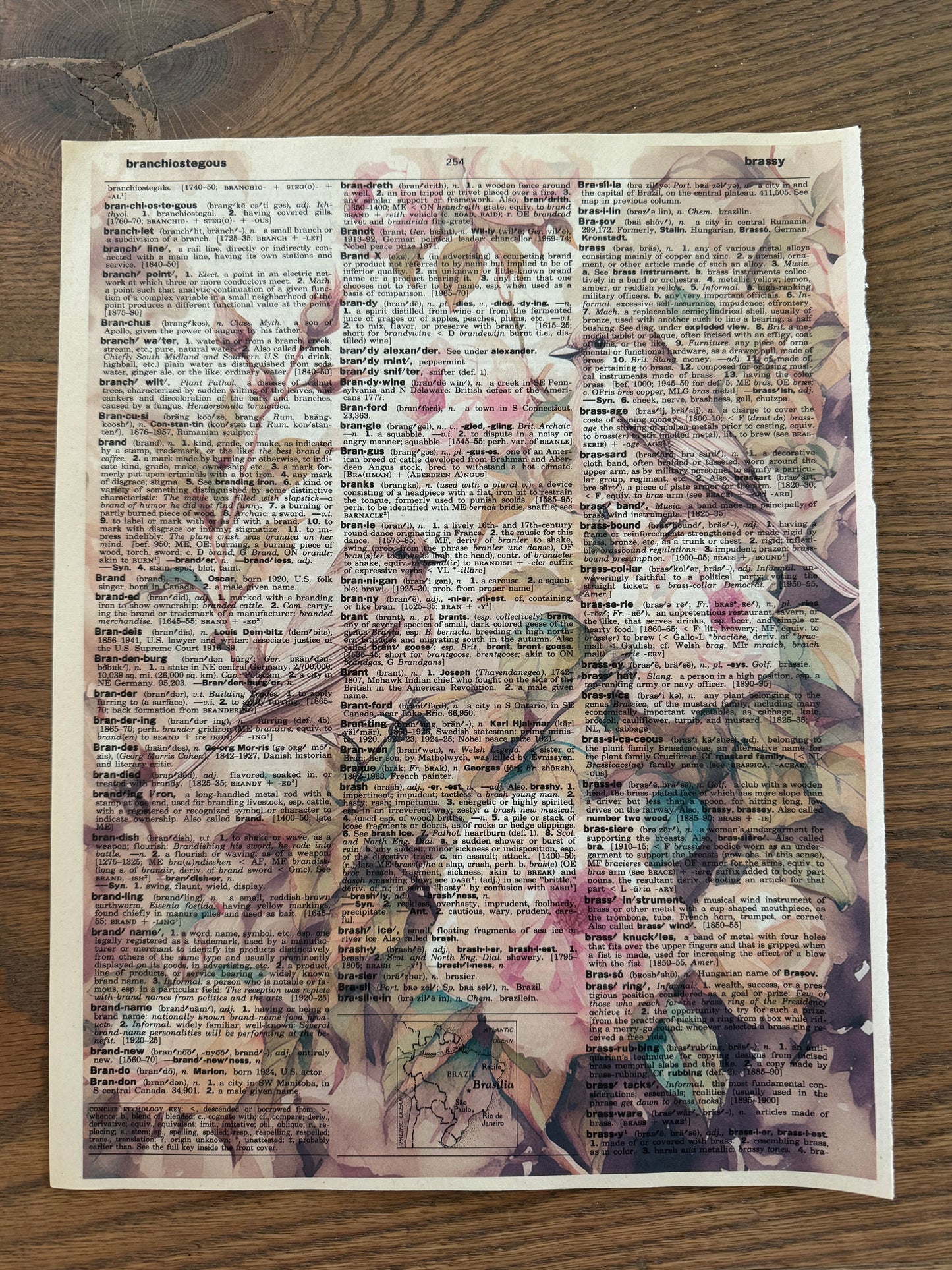 Pink Floral with birds Dictionary Page