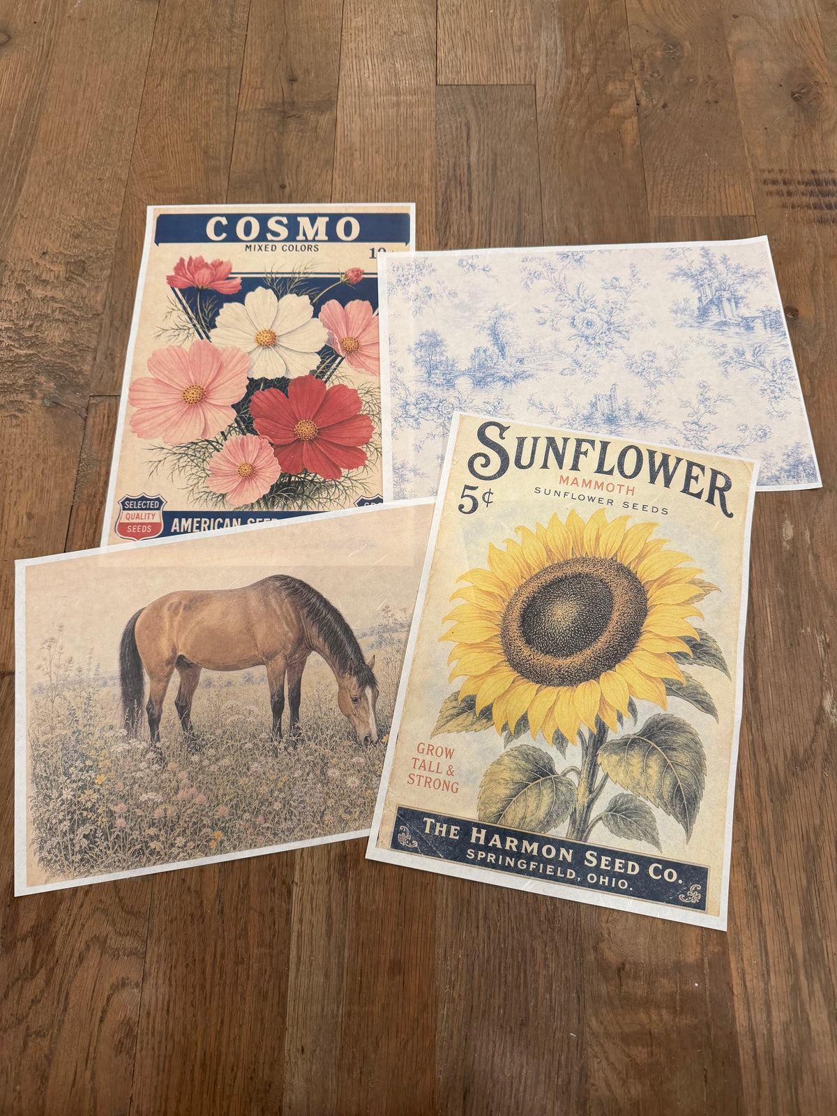 August Subscription Stencils or Papers | JRV DIY Craft Supplies