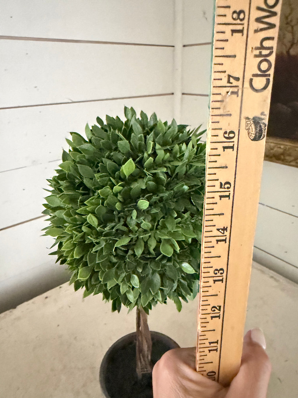 Topiary will get makeover