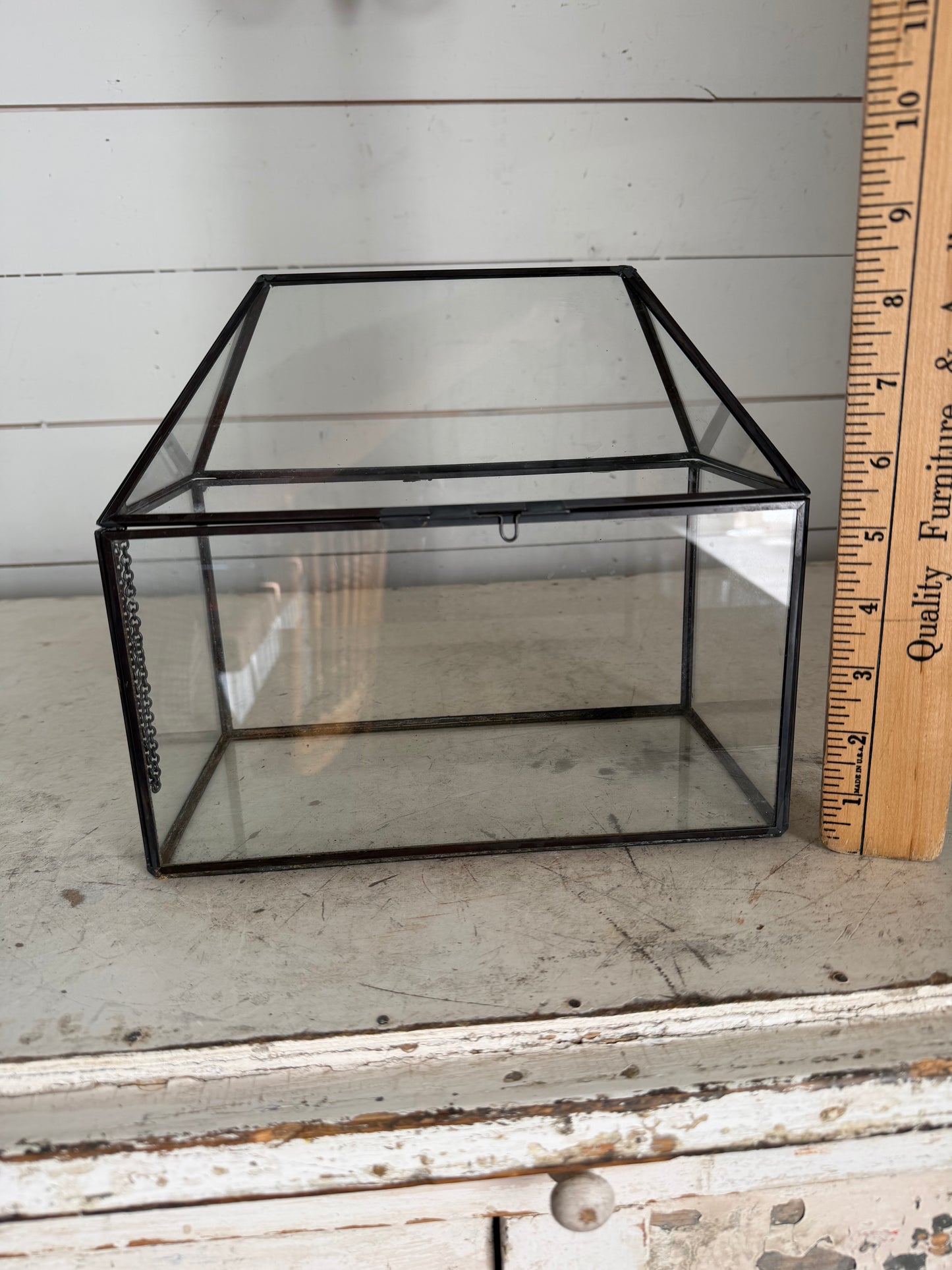 Metal and Glass Mini Terrarium