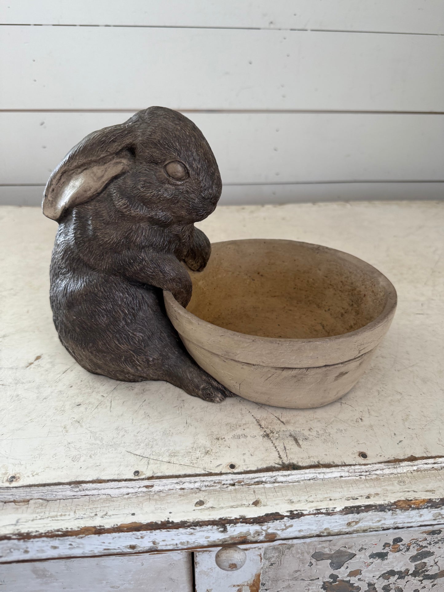 Bunny sitting by bowl planter