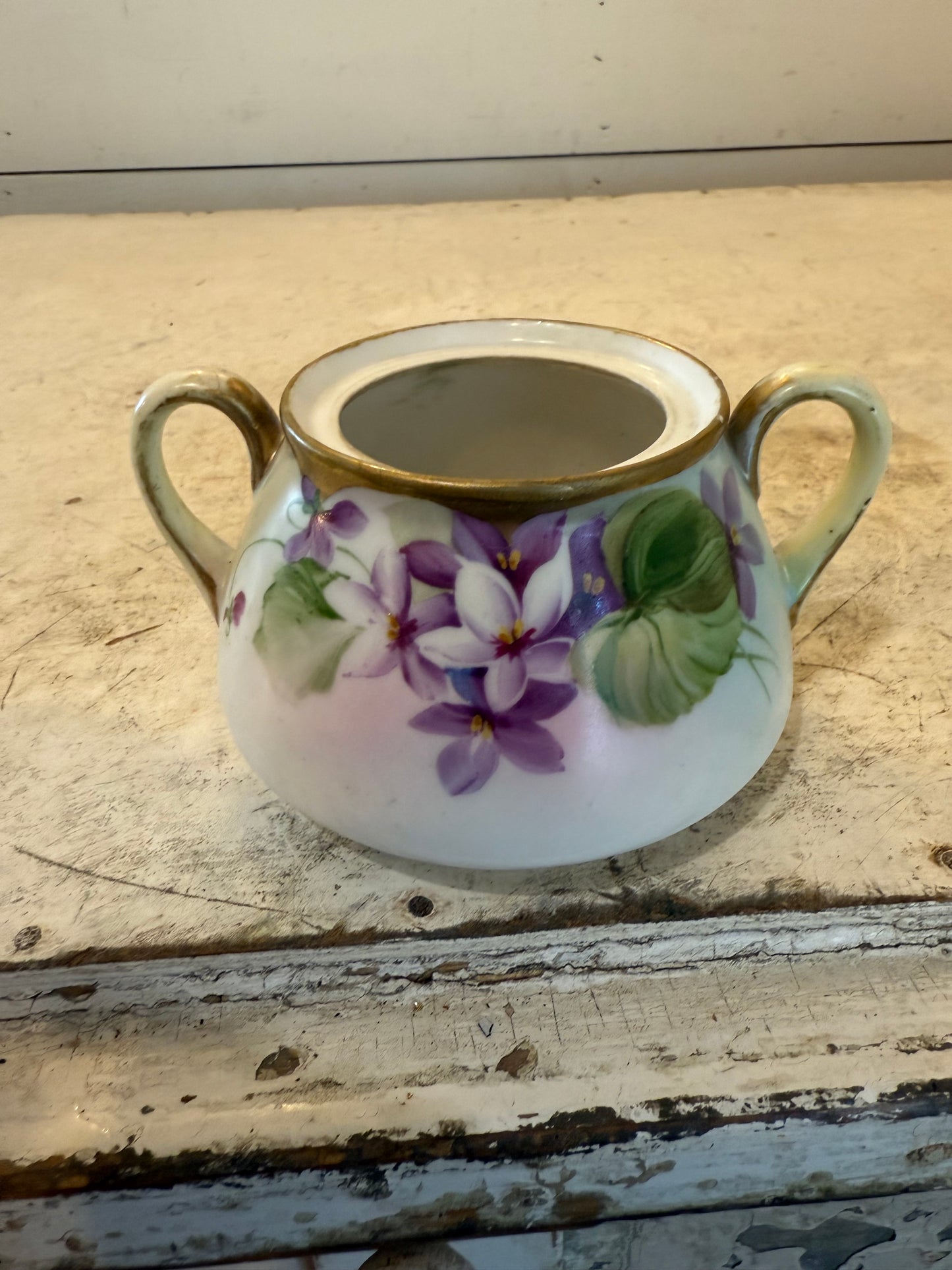 Vintage hand painted sugar dish will get succulent