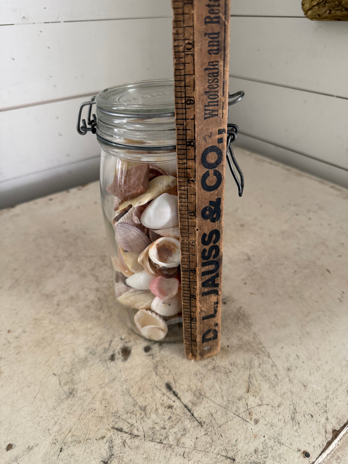 Vintage hermetic jar with seashells