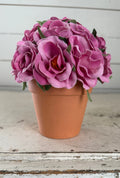 Pink flowers in terracotta pot