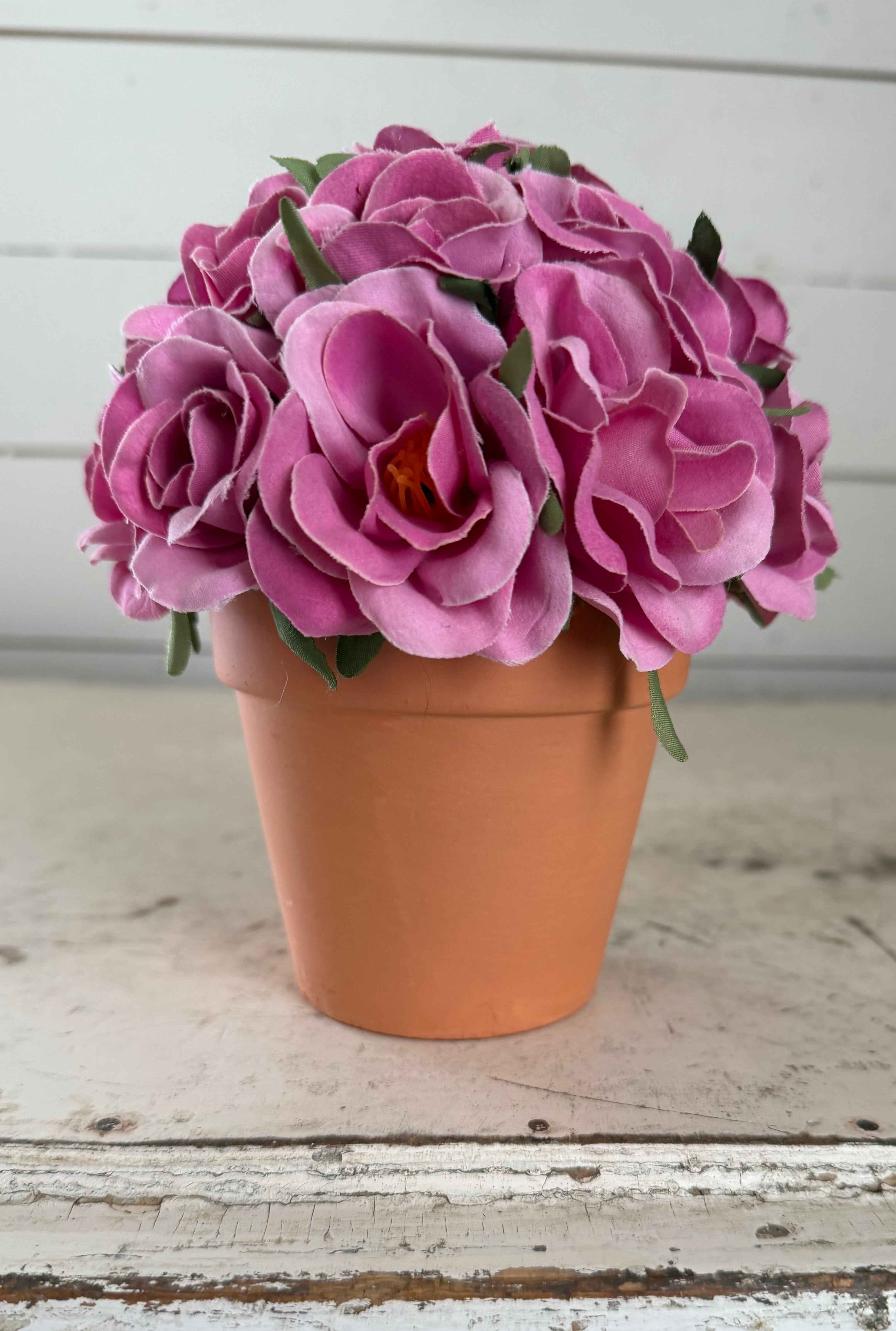 Pink flowers in terracotta pot