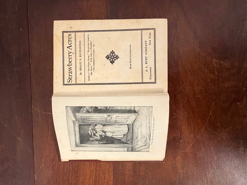 Strawberry Acres - Book