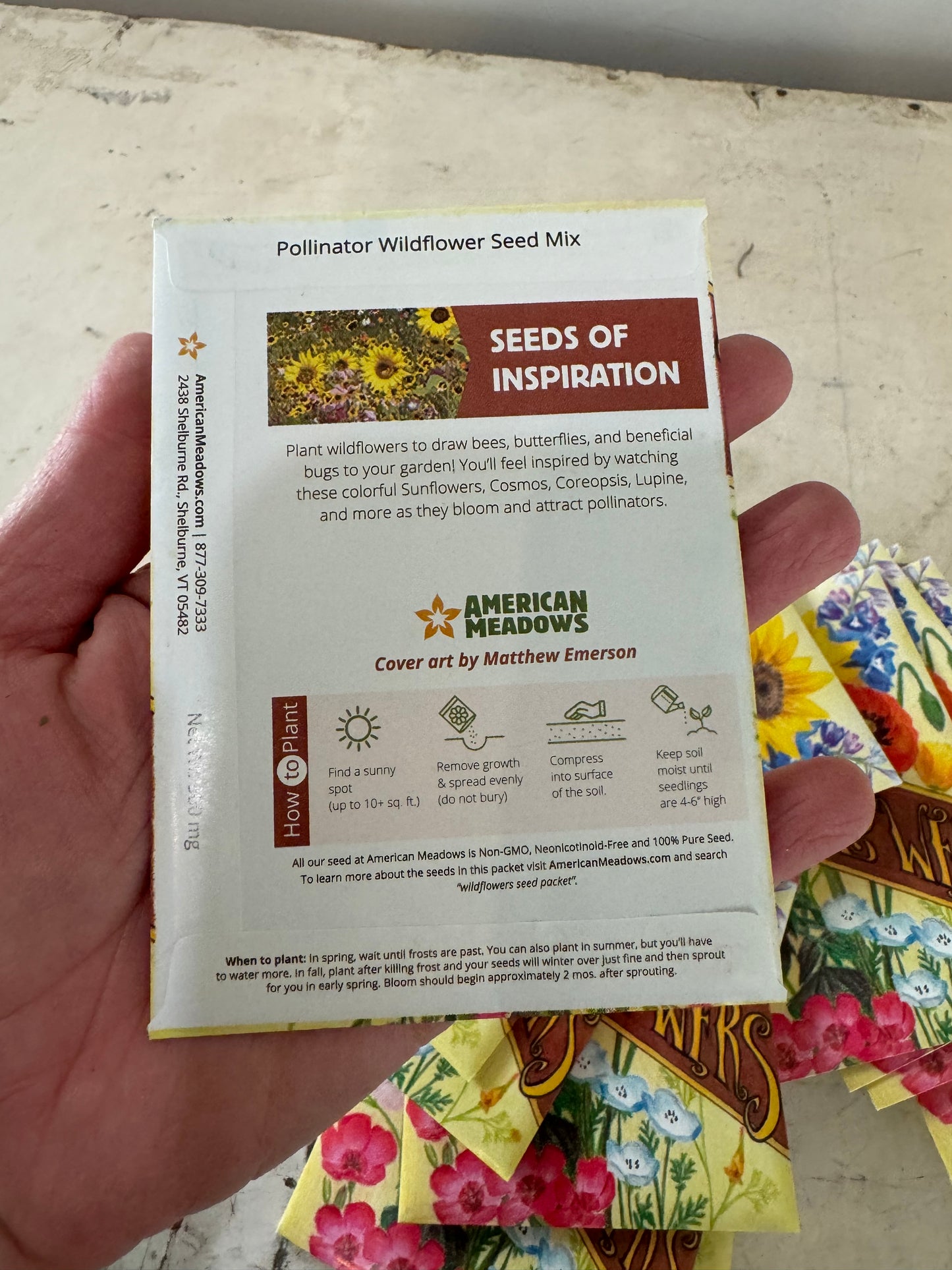 American Meadows Wildflower Seed Packets - Sold Individually