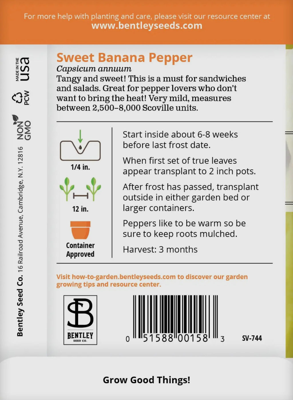 Bentley Seeds