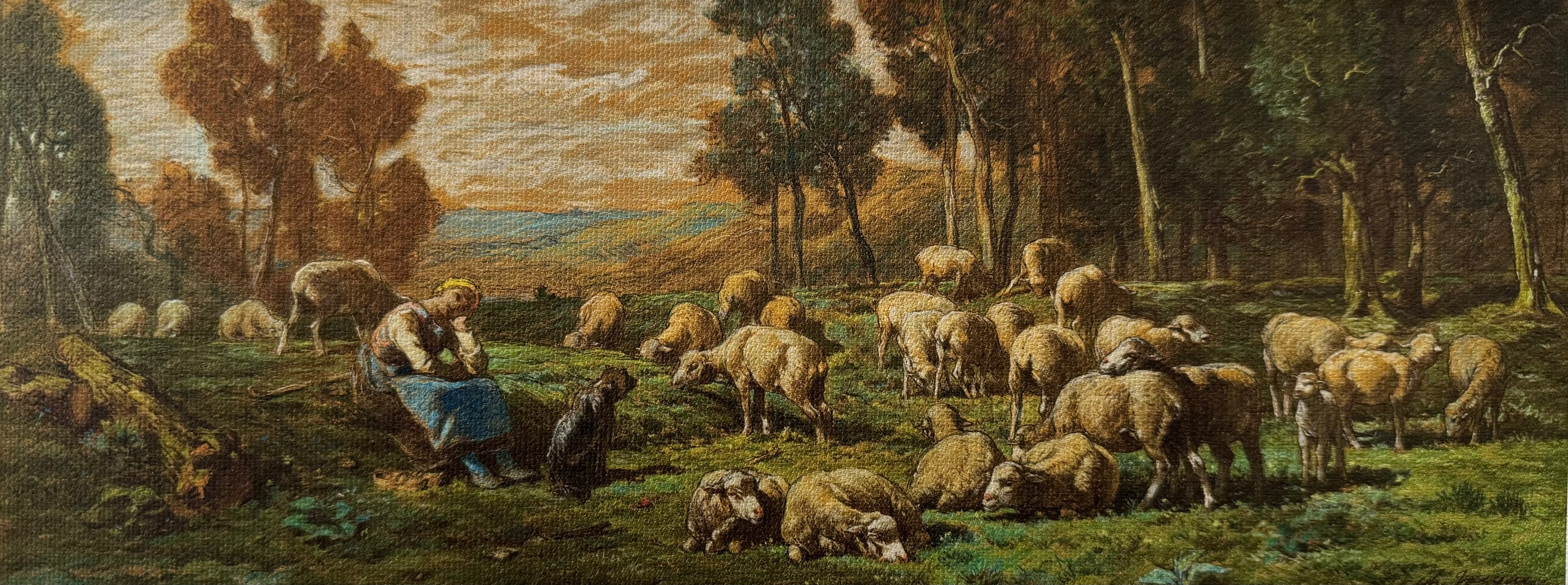 Framed canvas Print Pastoral Sheep In Field With Girl