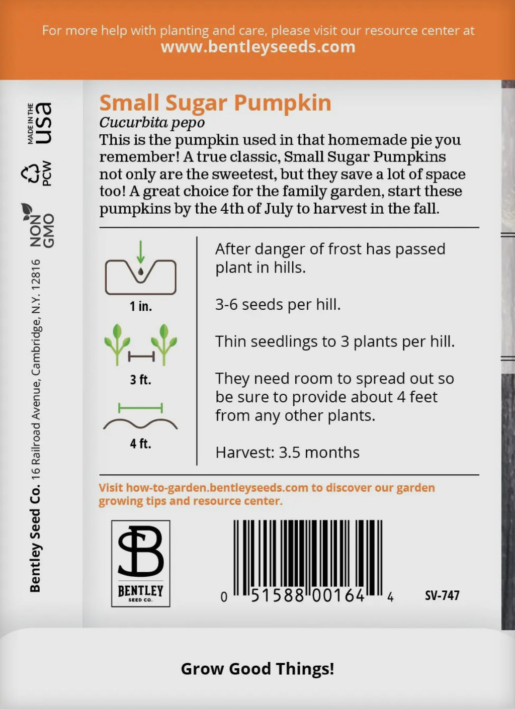 Bentley Seeds