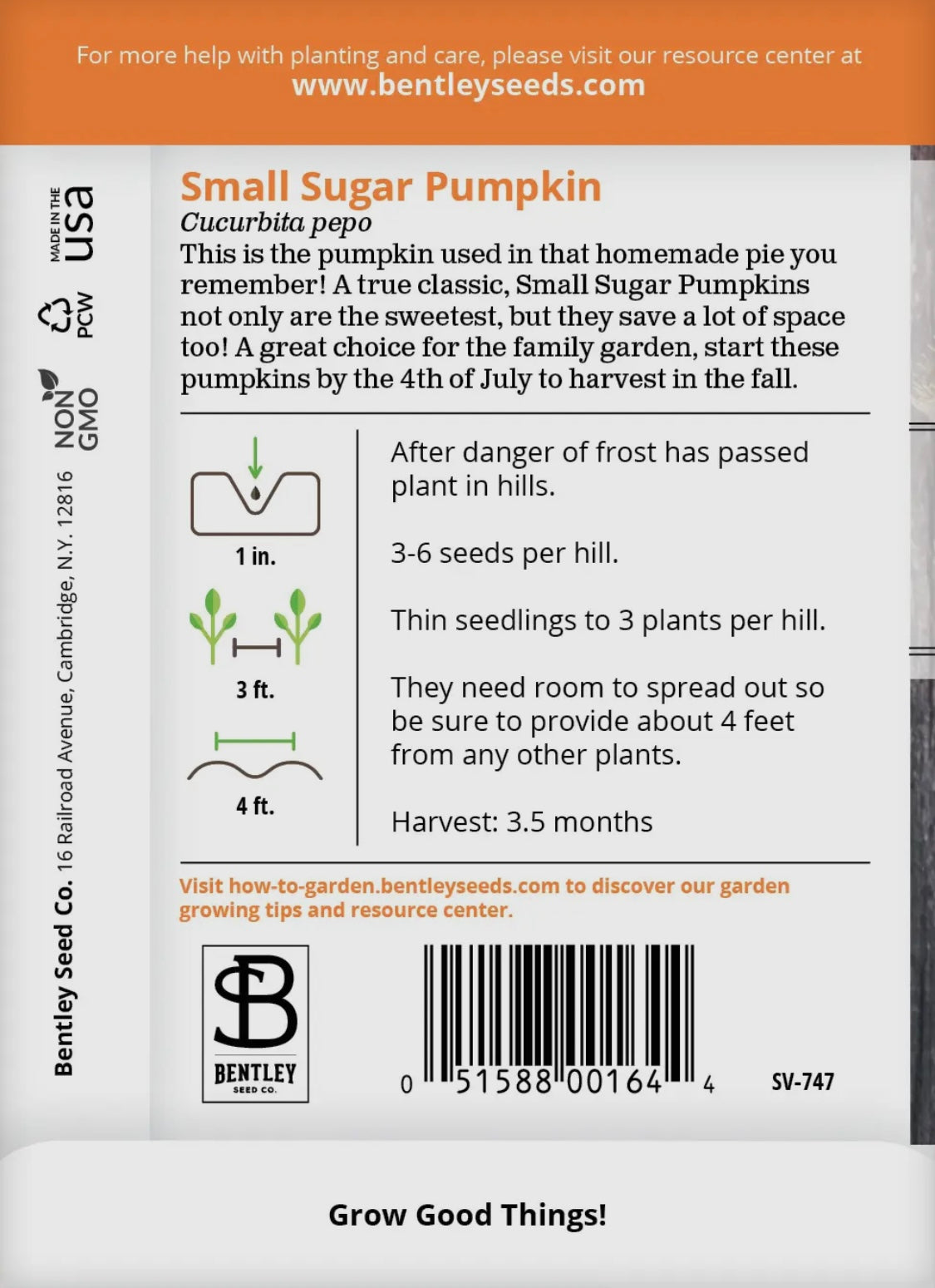 Bentley Seeds