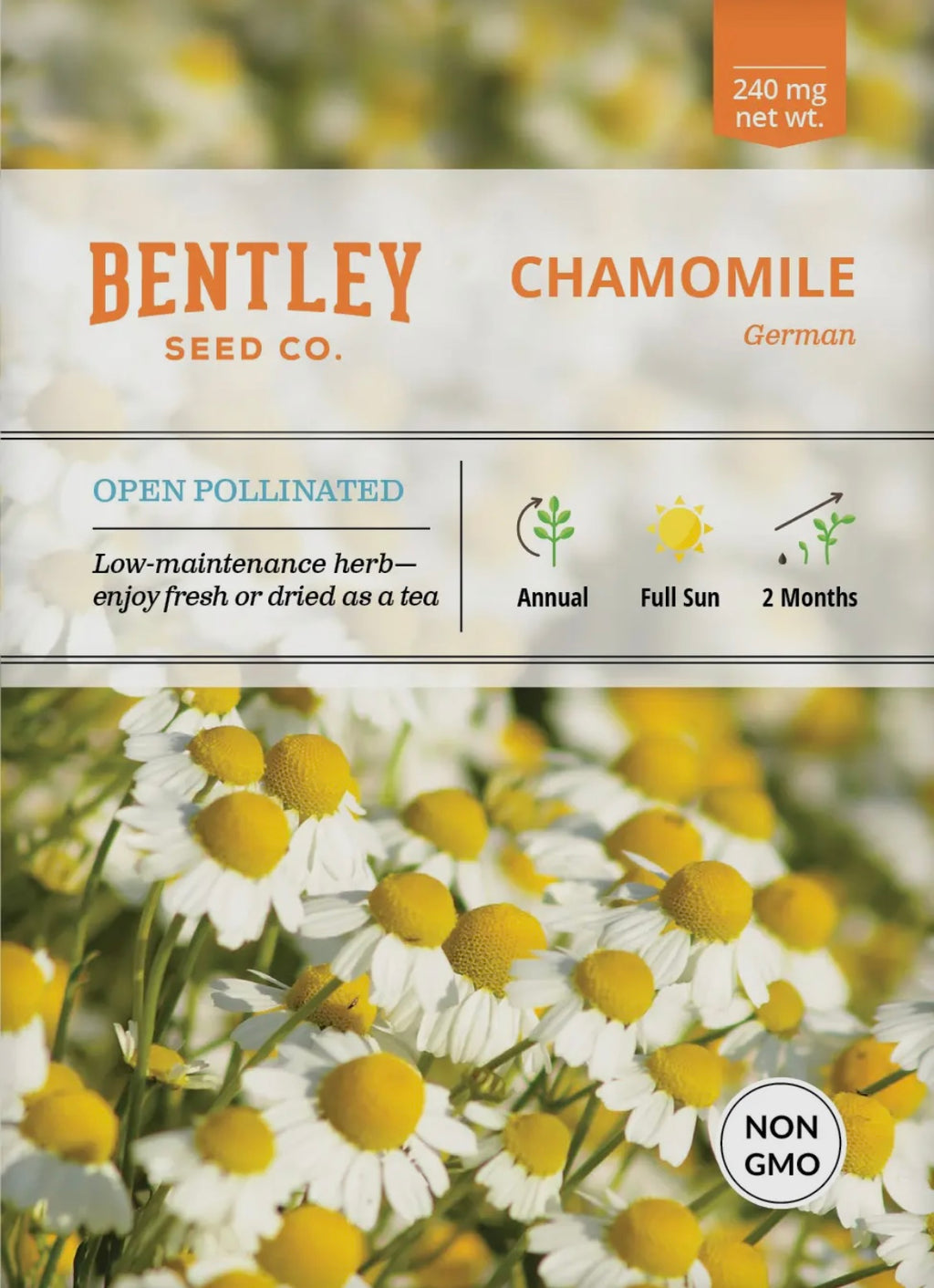 Bentley Seeds