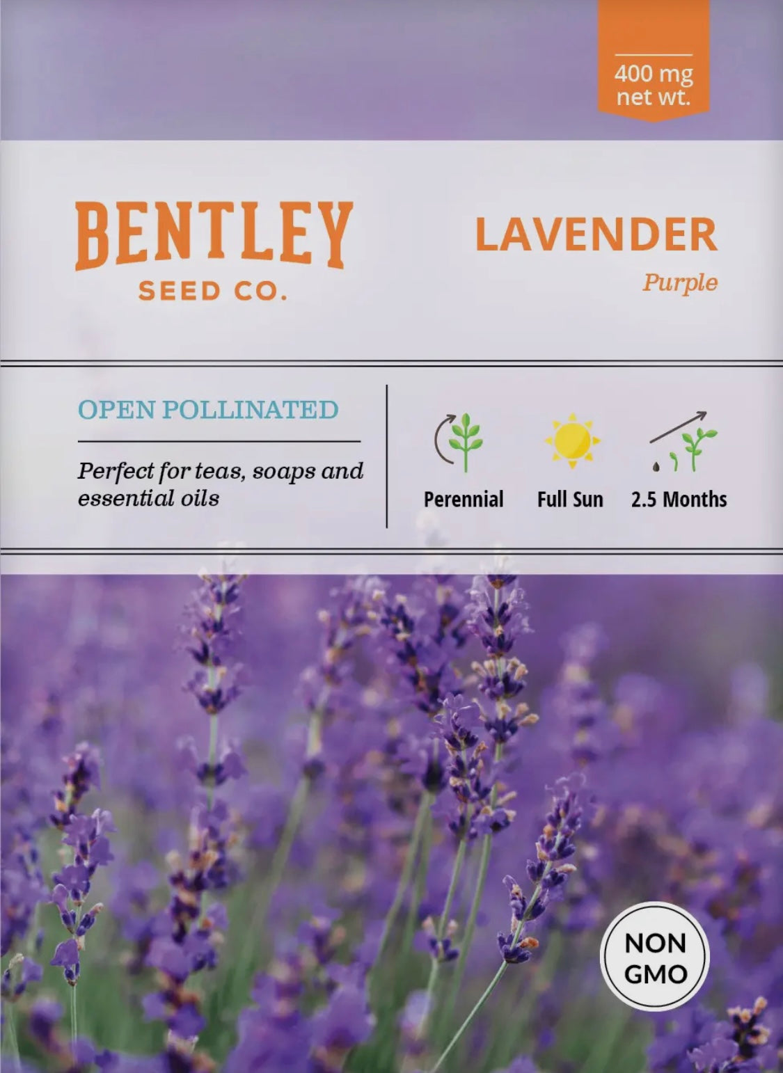 Bentley Seeds