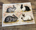 Floral Bunnies | JRV cardstock letter size