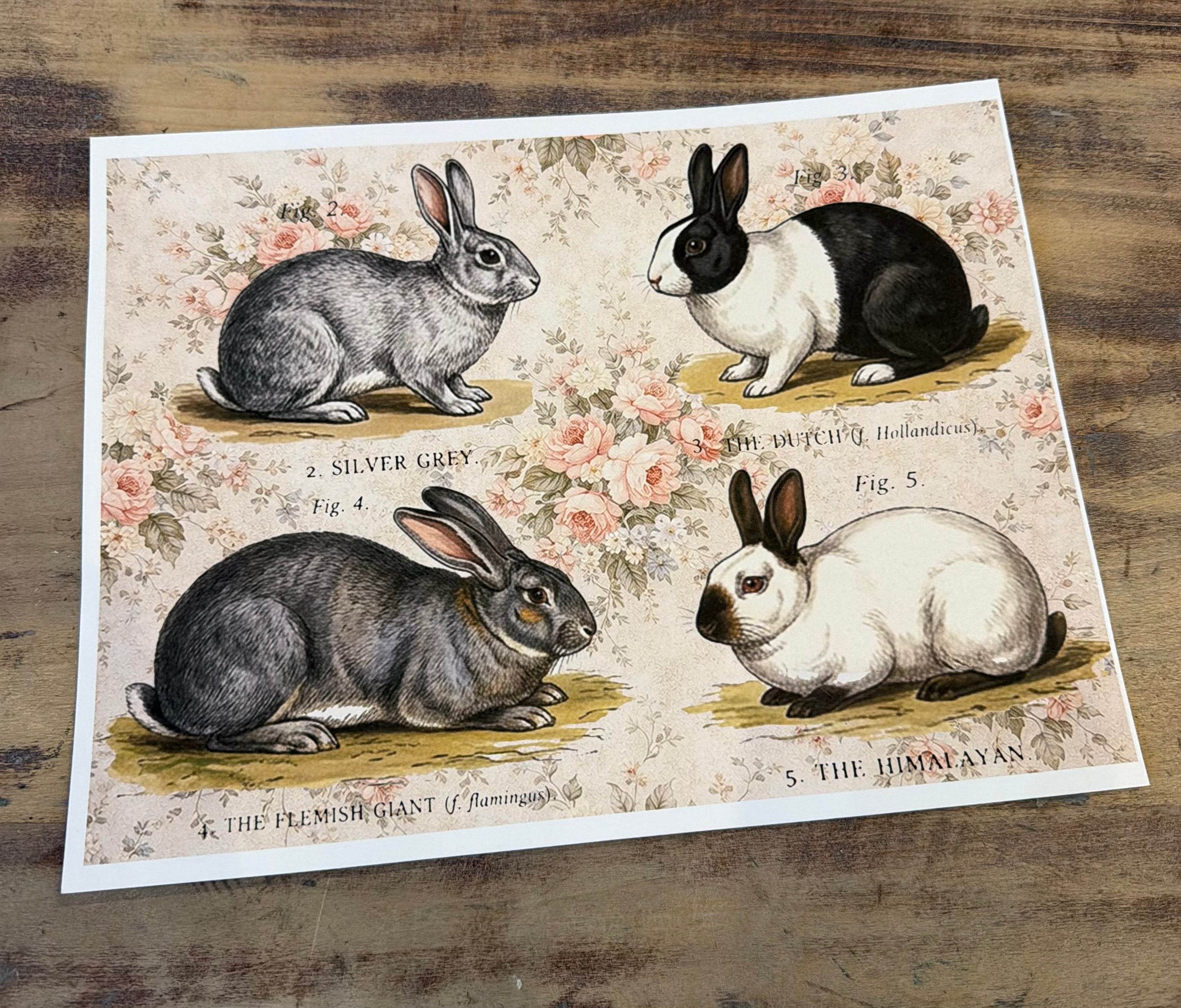 Floral Bunnies | JRV cardstock letter size