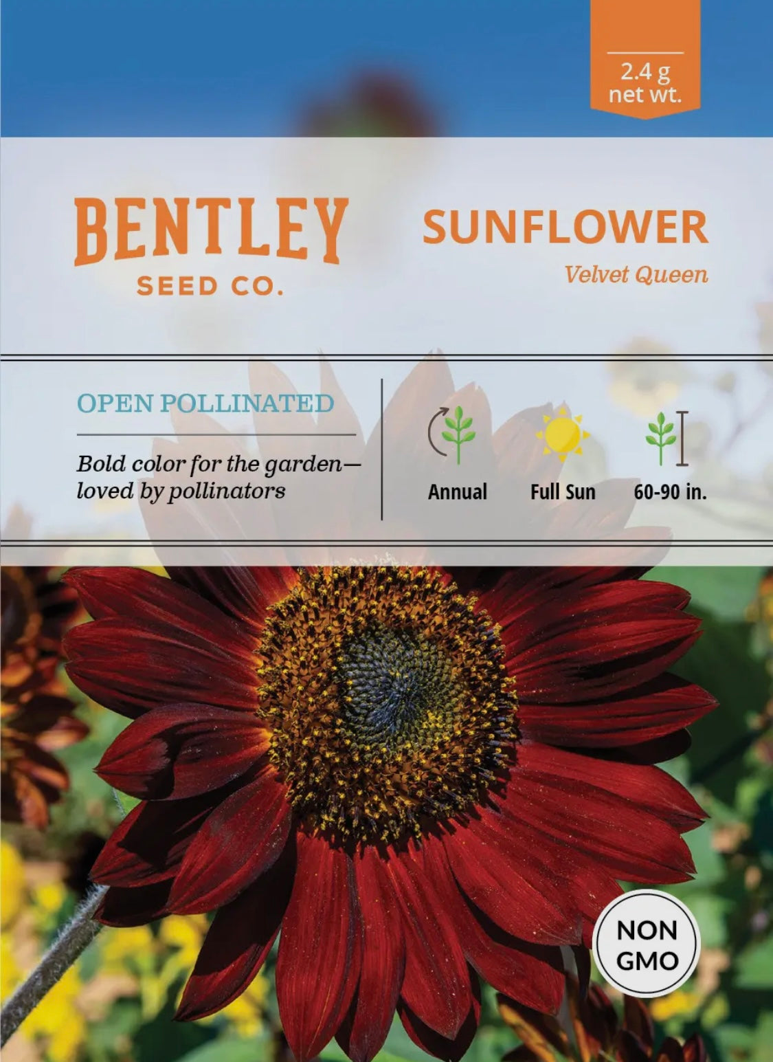 Bentley Seeds