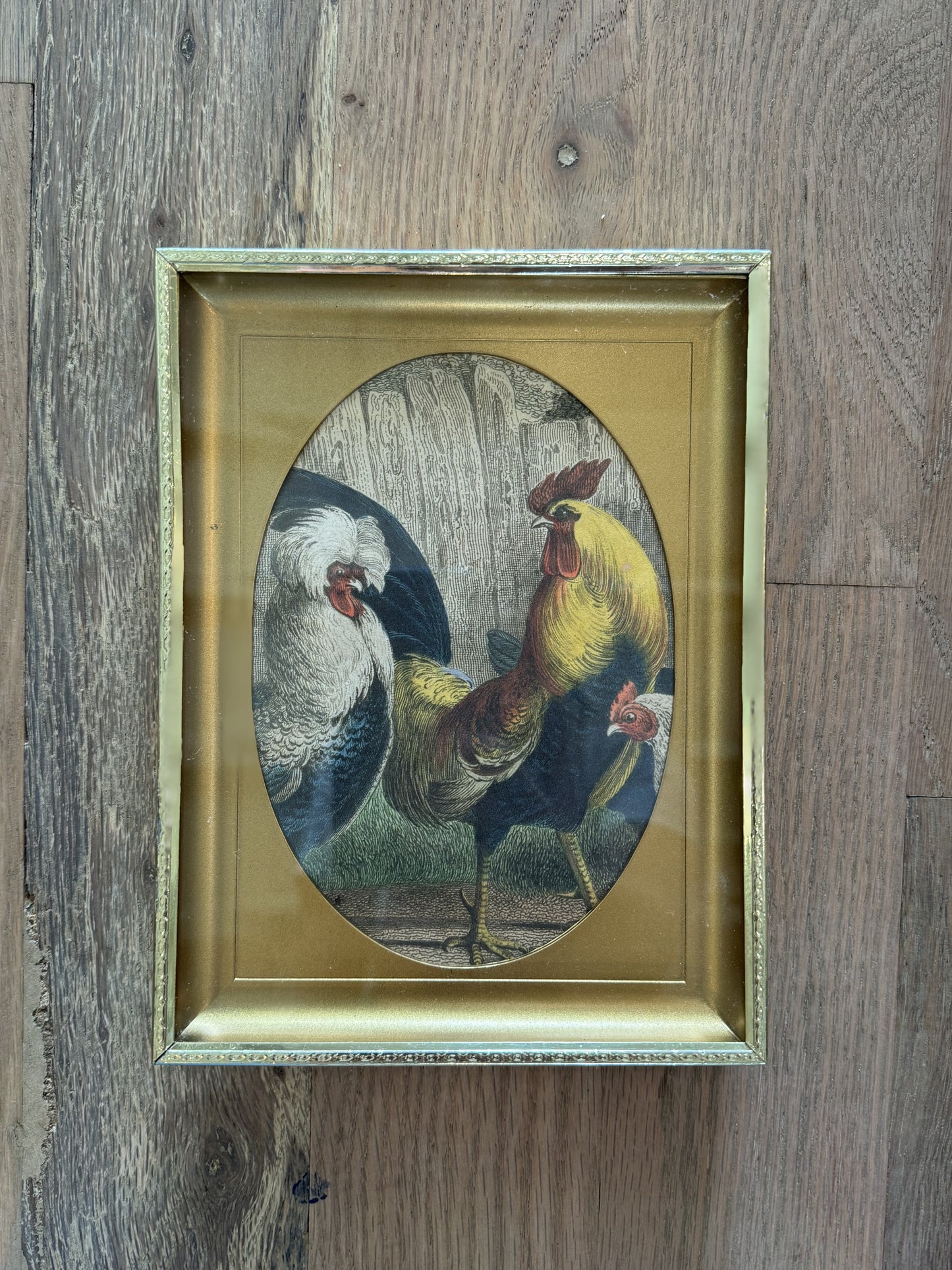 Medium Brass Picture Frame - with chicken art