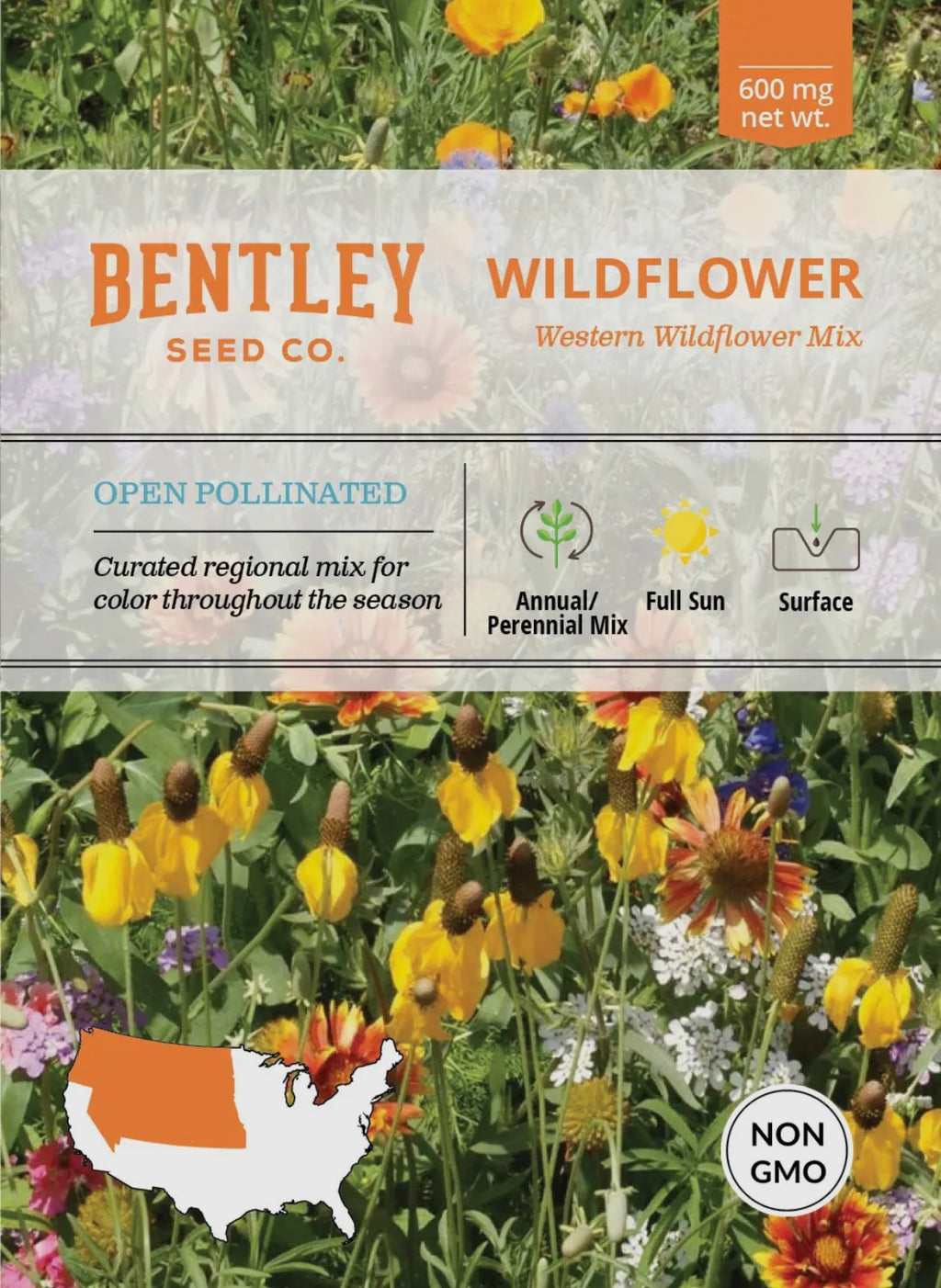 Bentley Seeds