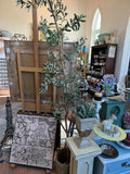 Olive Tree