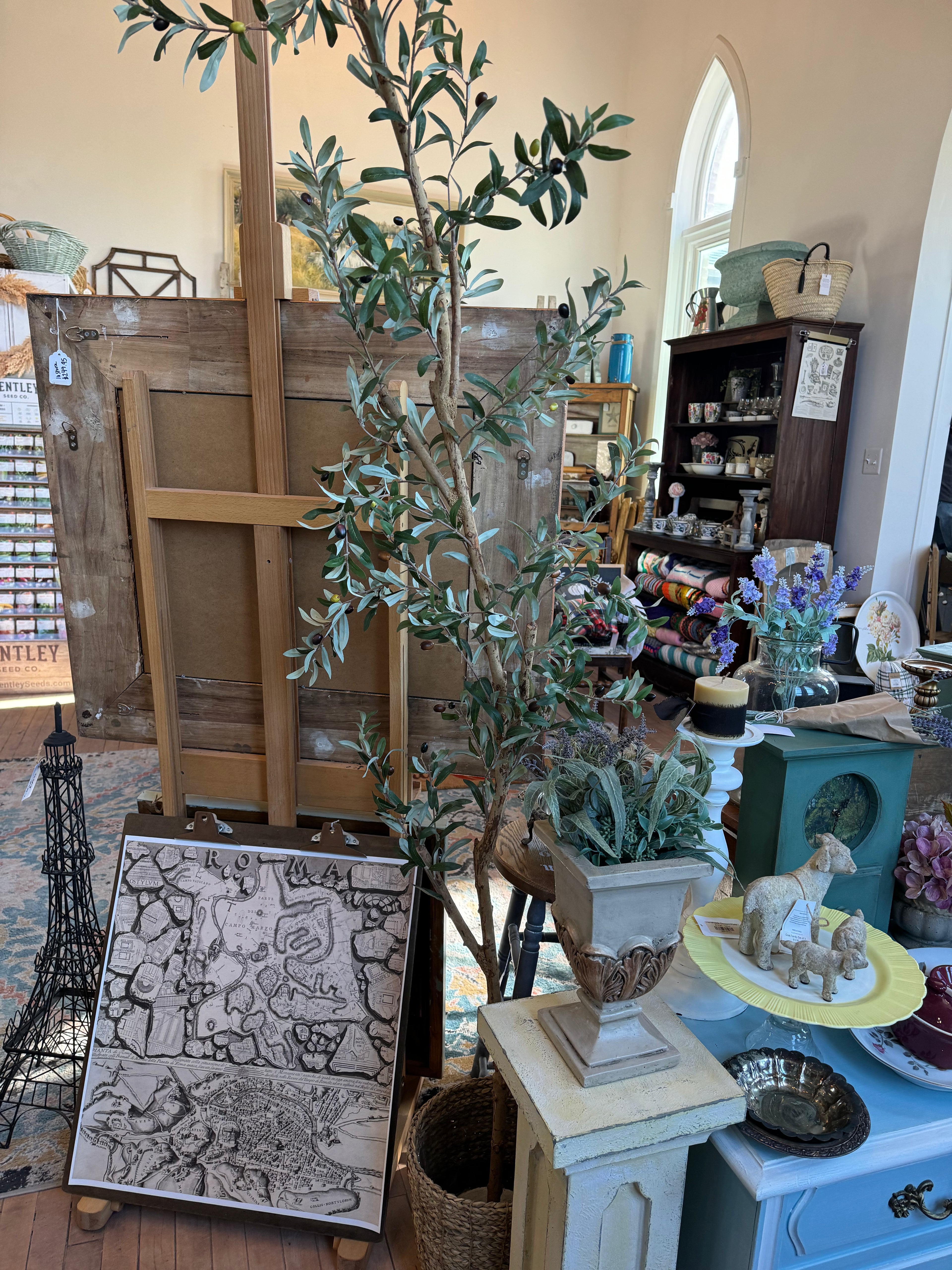 Olive Tree