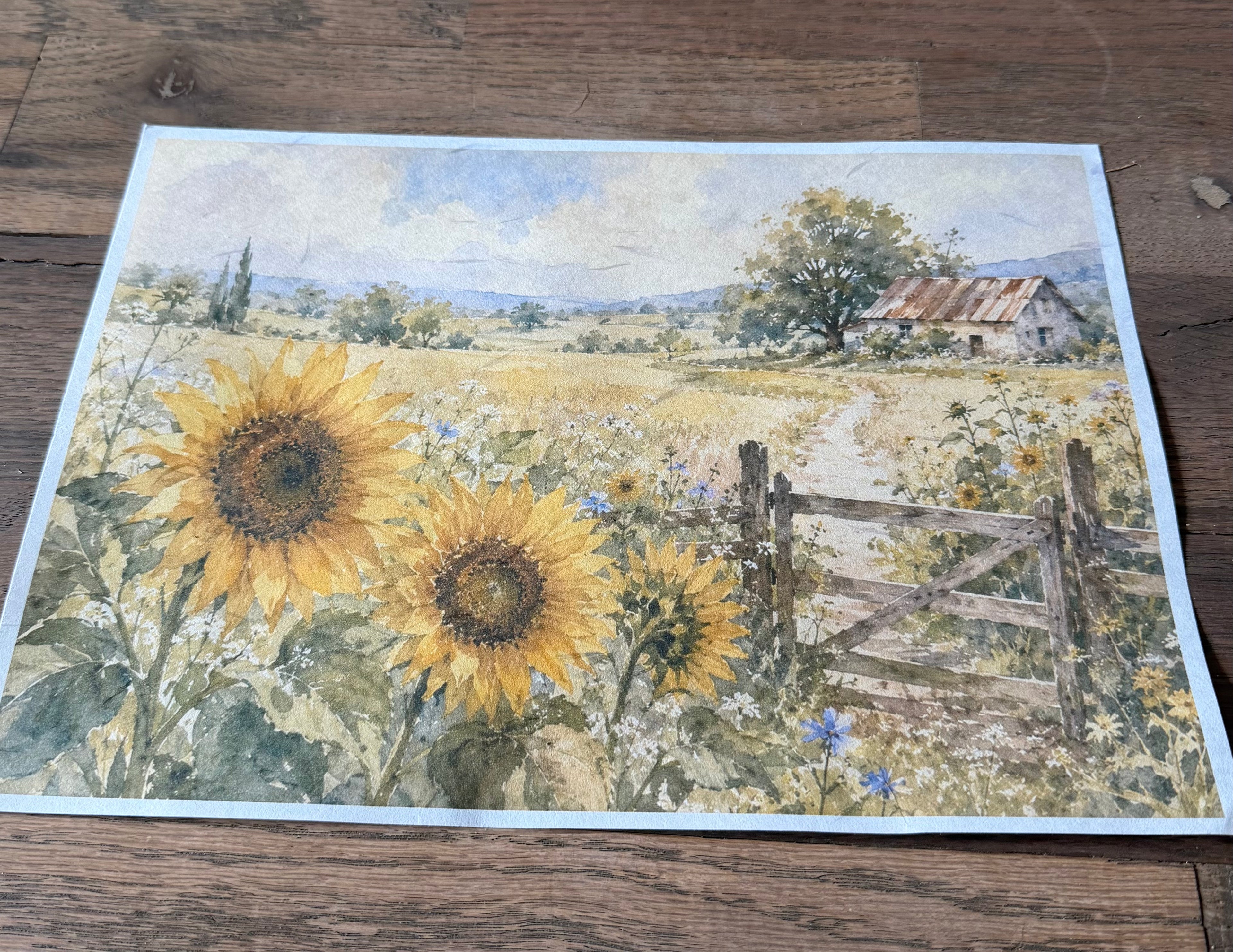 Sunflower Pastoral | JRV A4 Rice Paper
