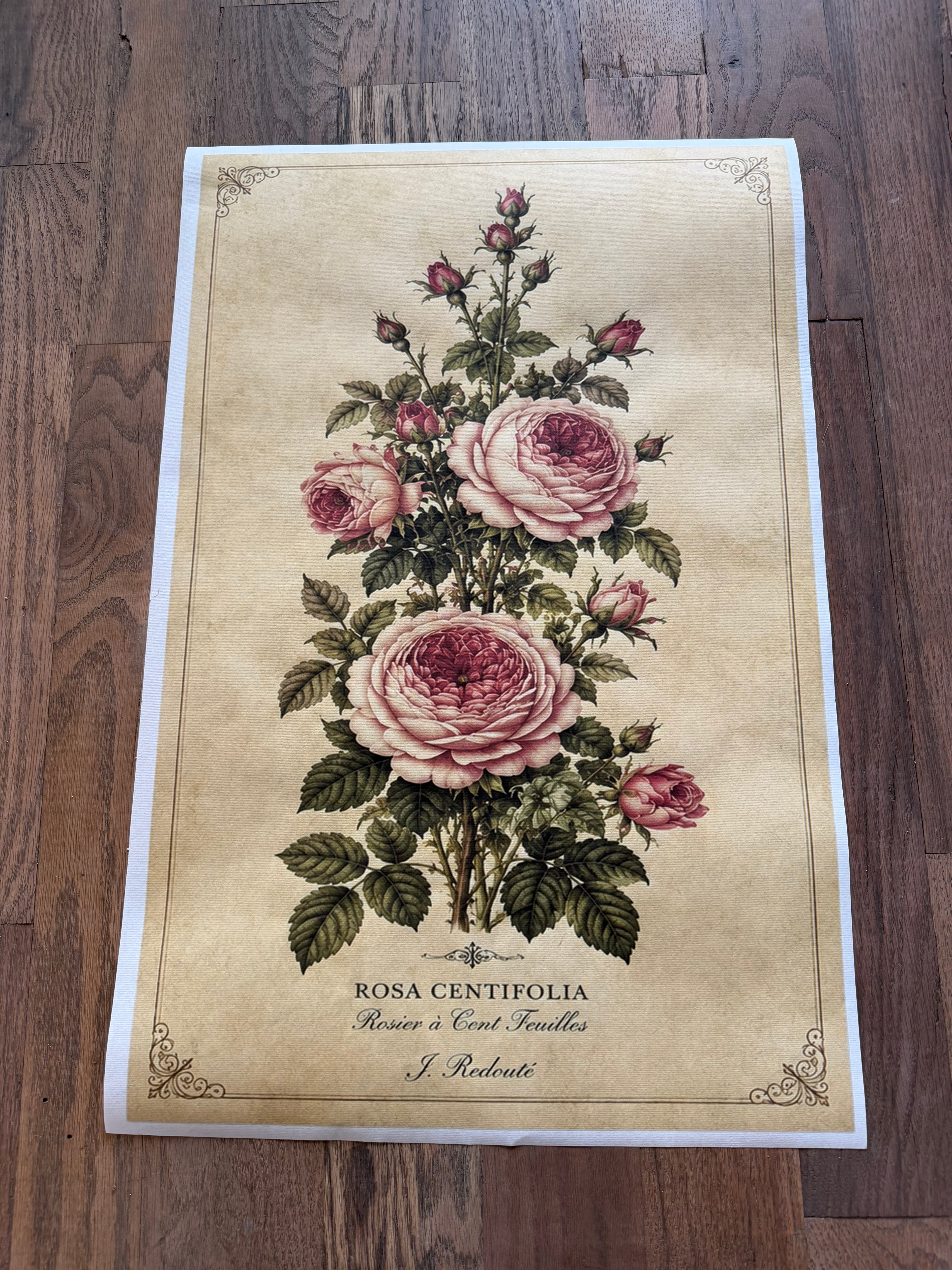Botanical Pink Roses | JRV Medium Rice Paper
