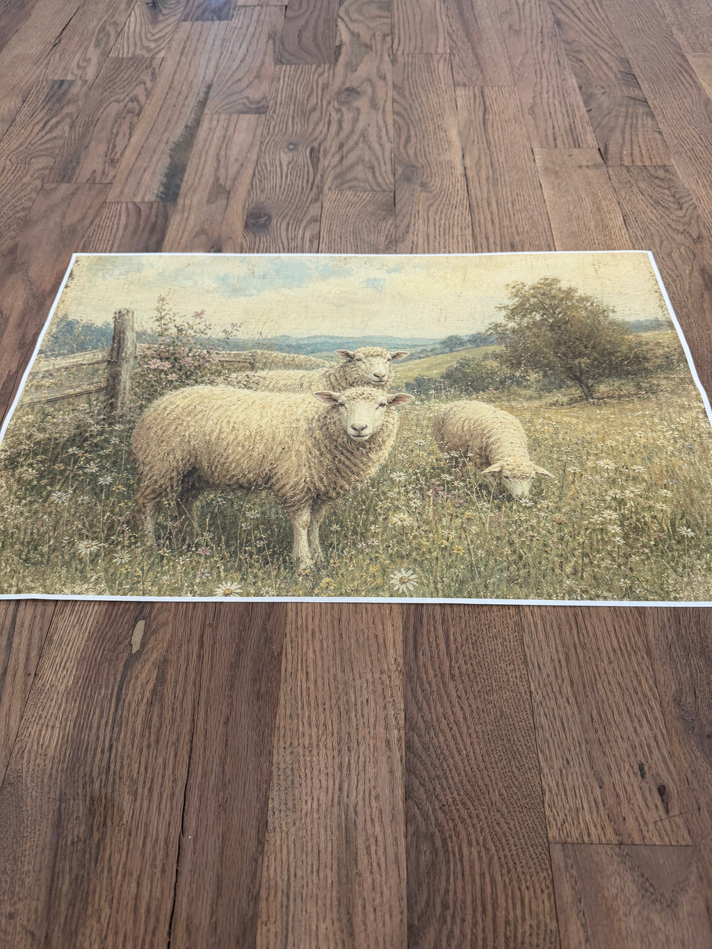 Antique Sheep | JRV Medium Rice Paper
