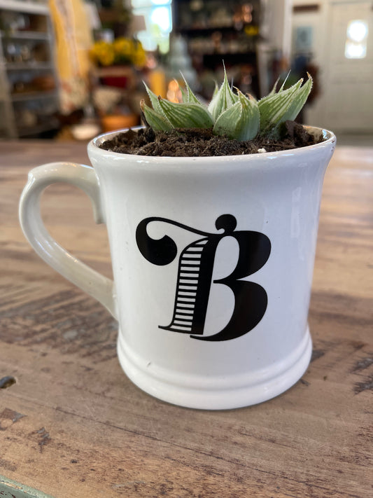 Anthropologie B mug with succulent