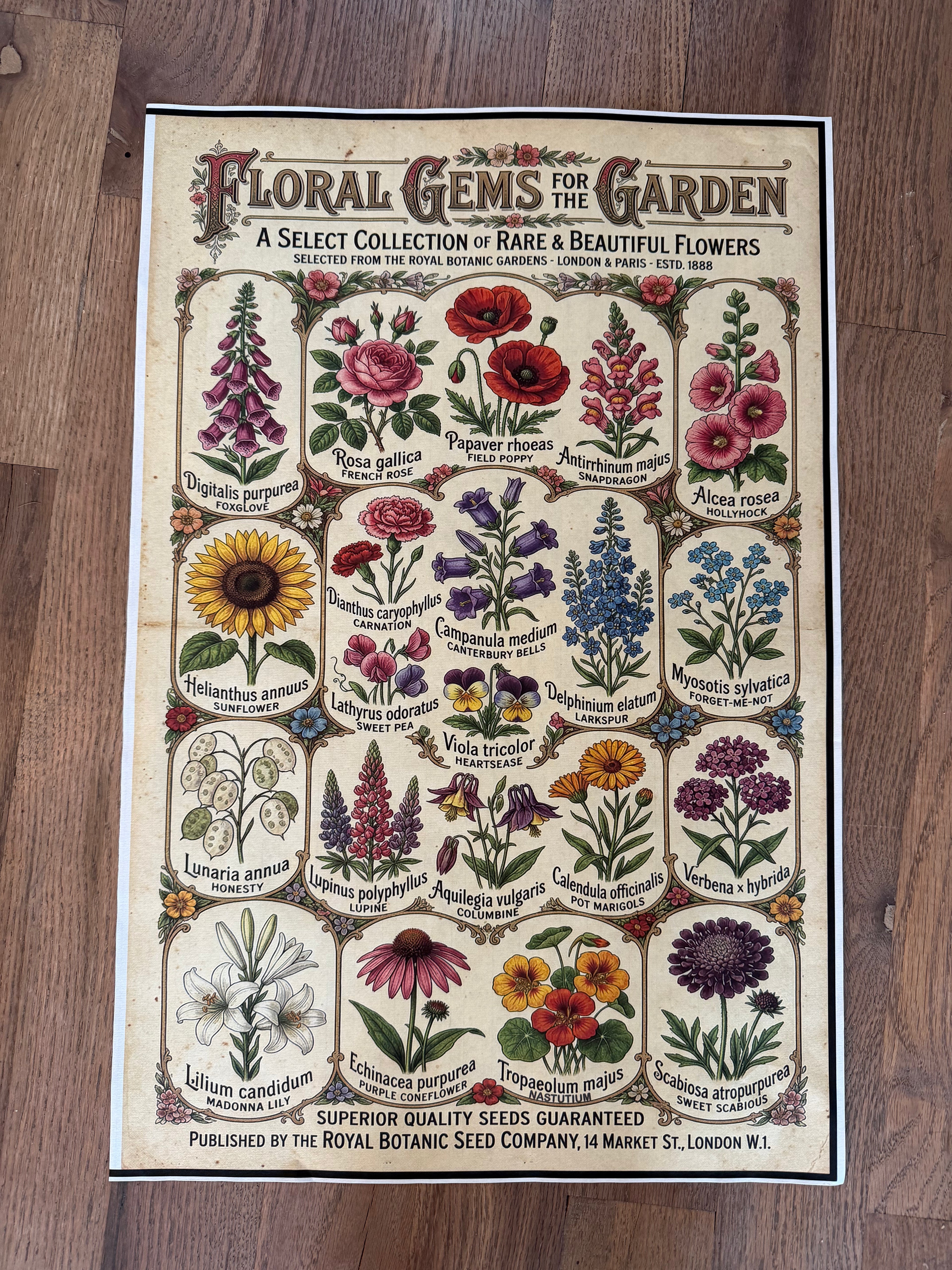 SECONDS BLACK BORDER Floral Gems | JRV Medium Rice Paper - As is