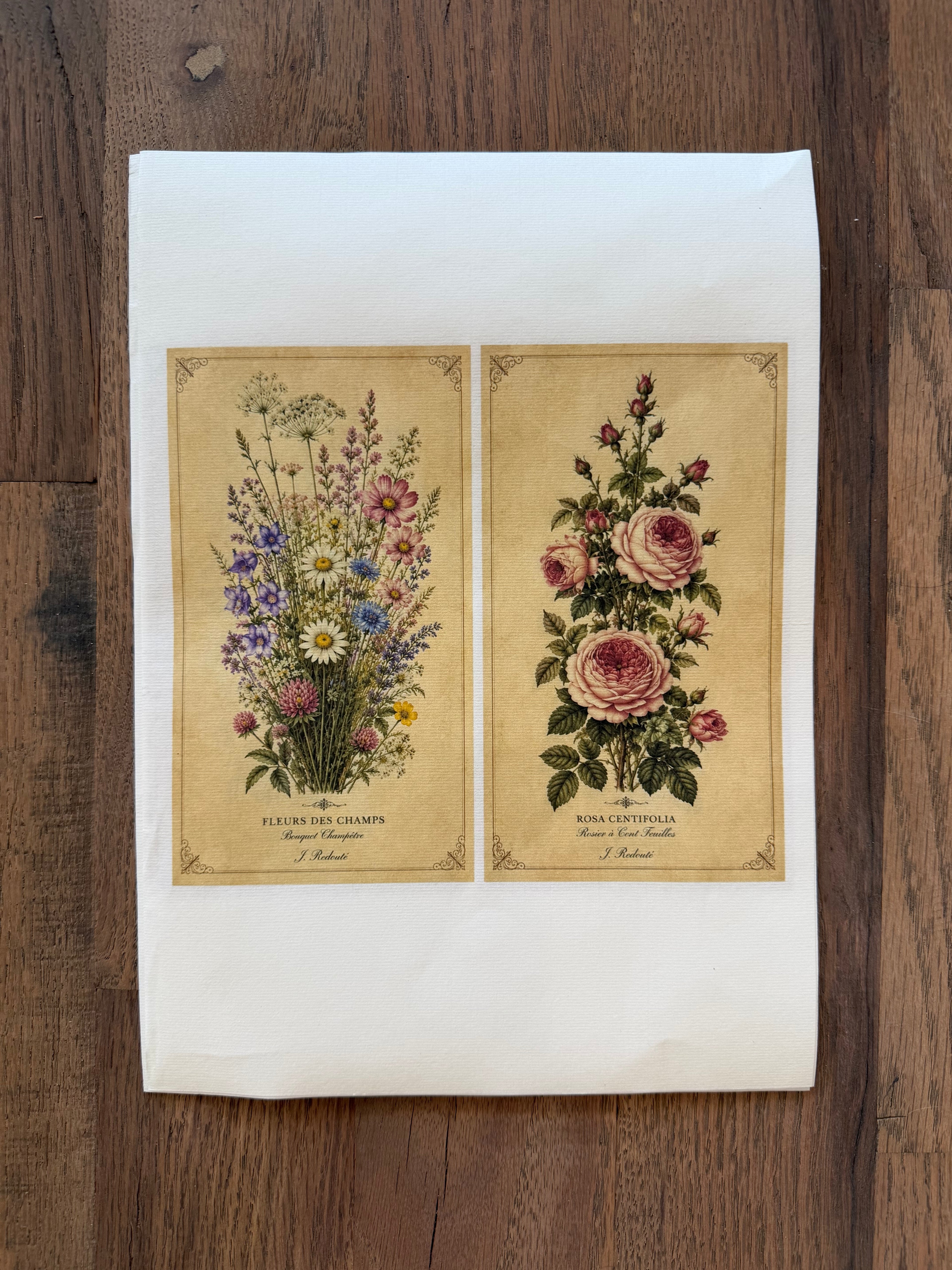 Limited Edition Mini Botanical | JRV Rice Paper - misprints