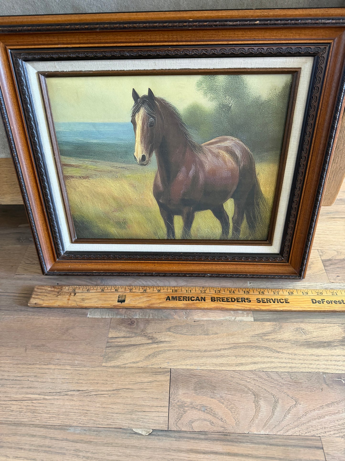 Large frame with Horse Art