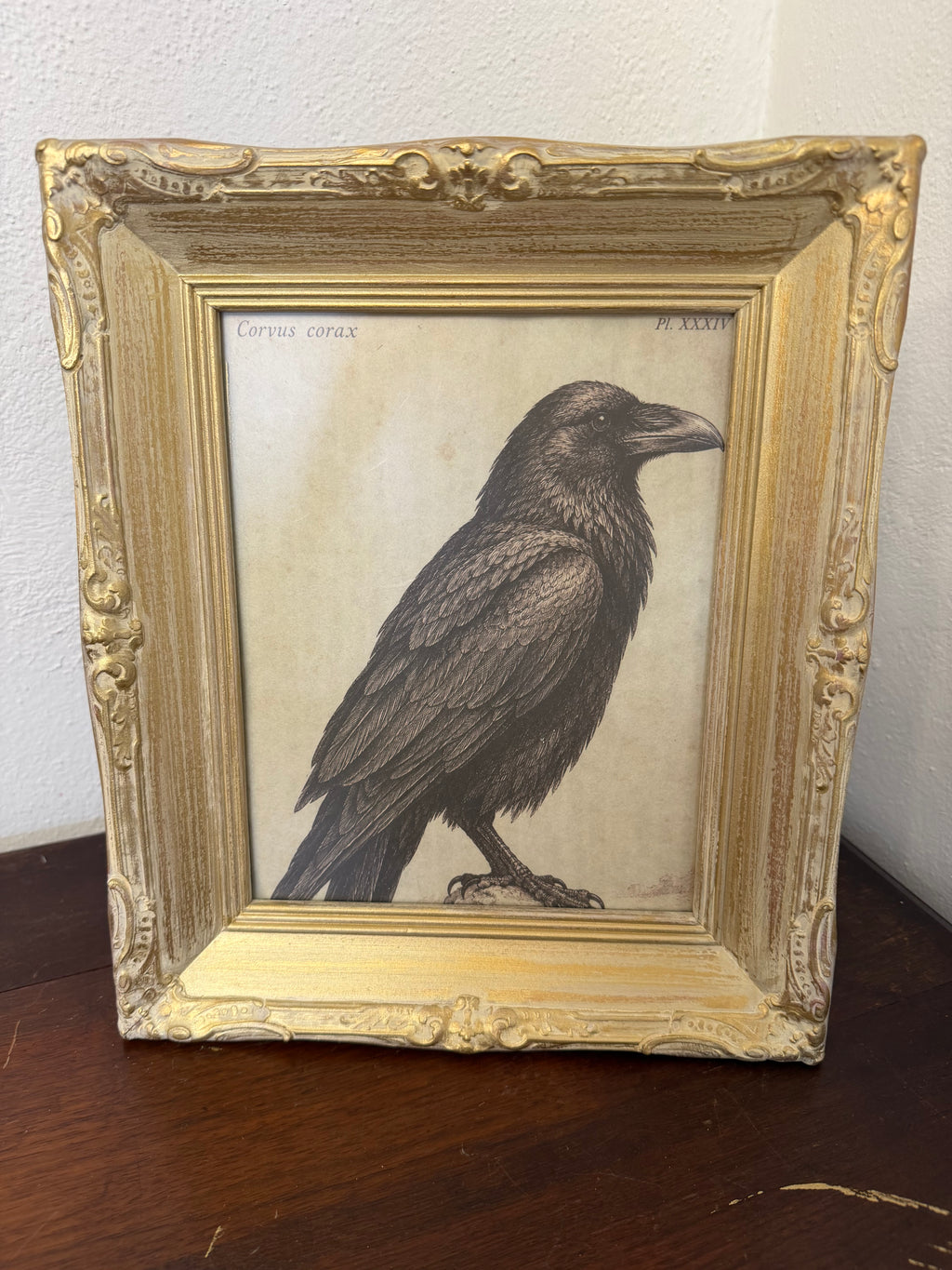 Framed Raven Art