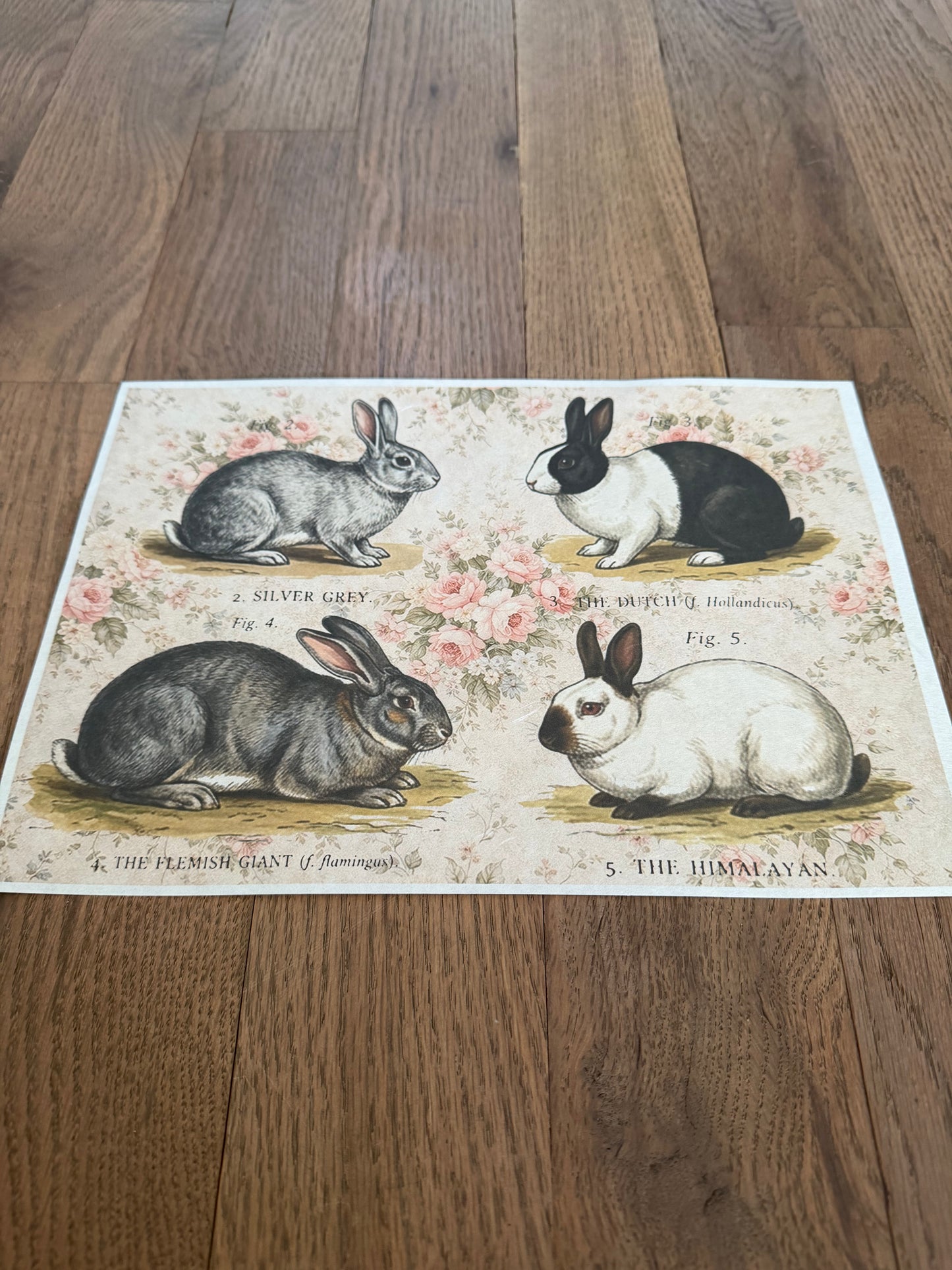 Floral Bunnies | JRV A4 Rice Paper