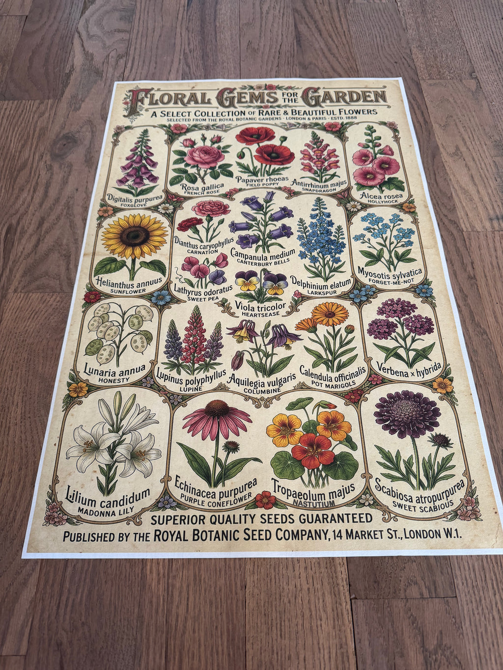 Floral poster with illustrations of various flowers on a wooden floor.