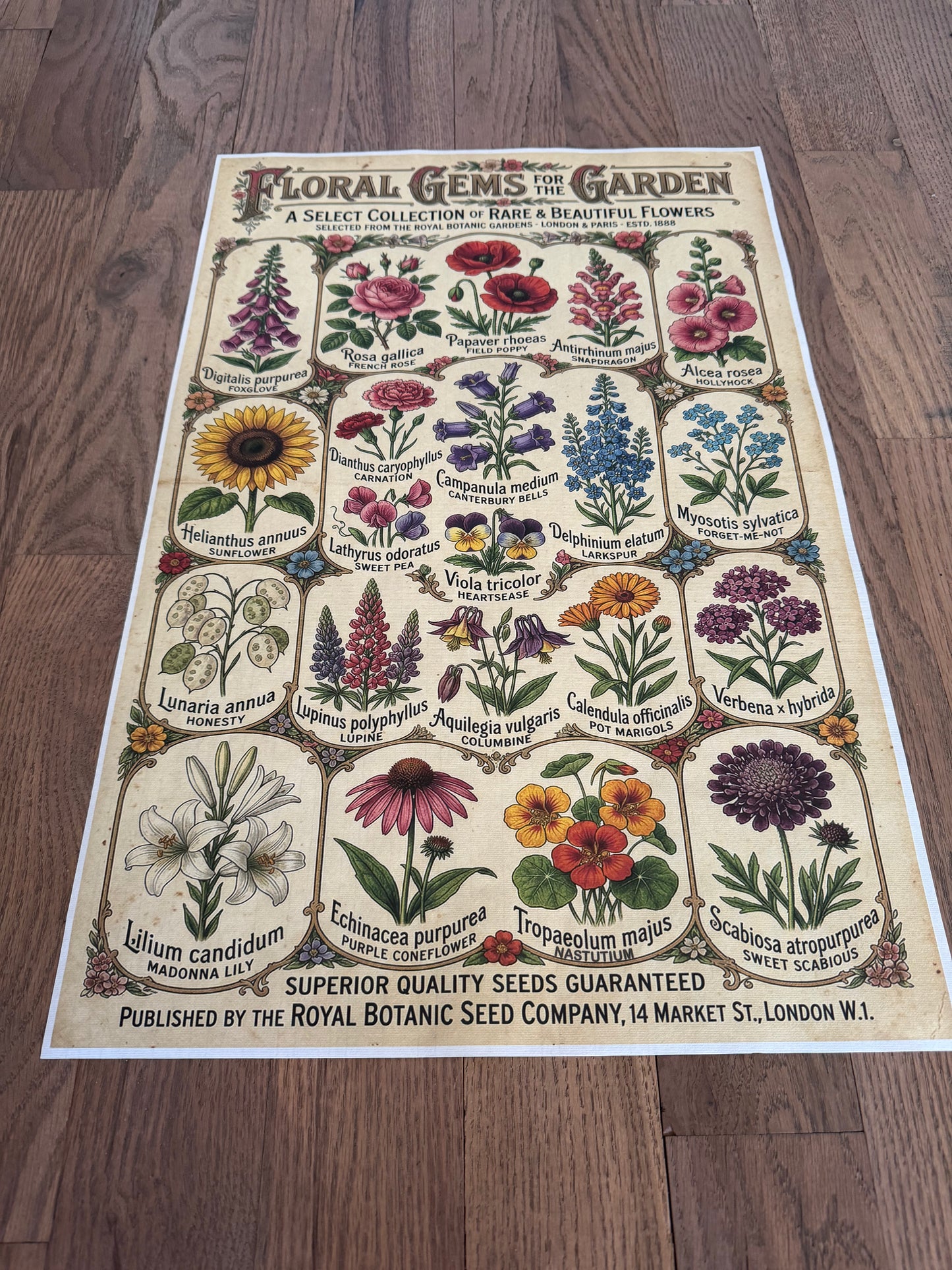 Floral Gems | JRV Medium Rice Paper