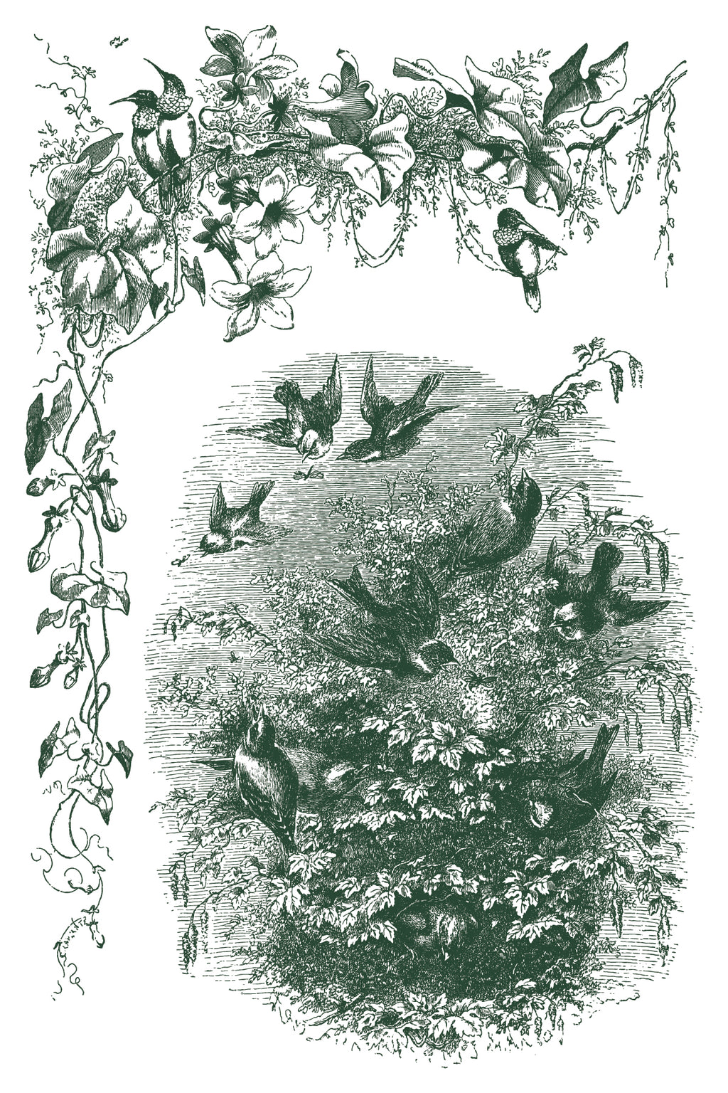 Little Lark | Paint Inlay | IOD Iron Orchid Designs