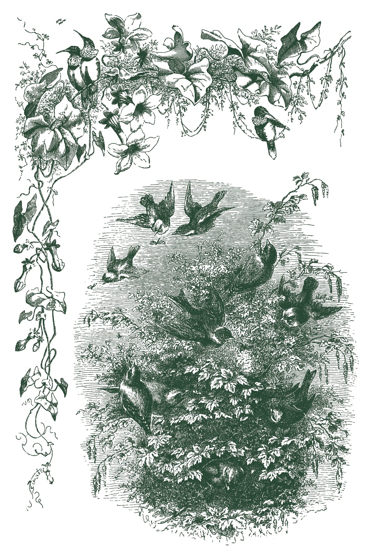 Little Lark | Paint Inlay | IOD Iron Orchid Designs