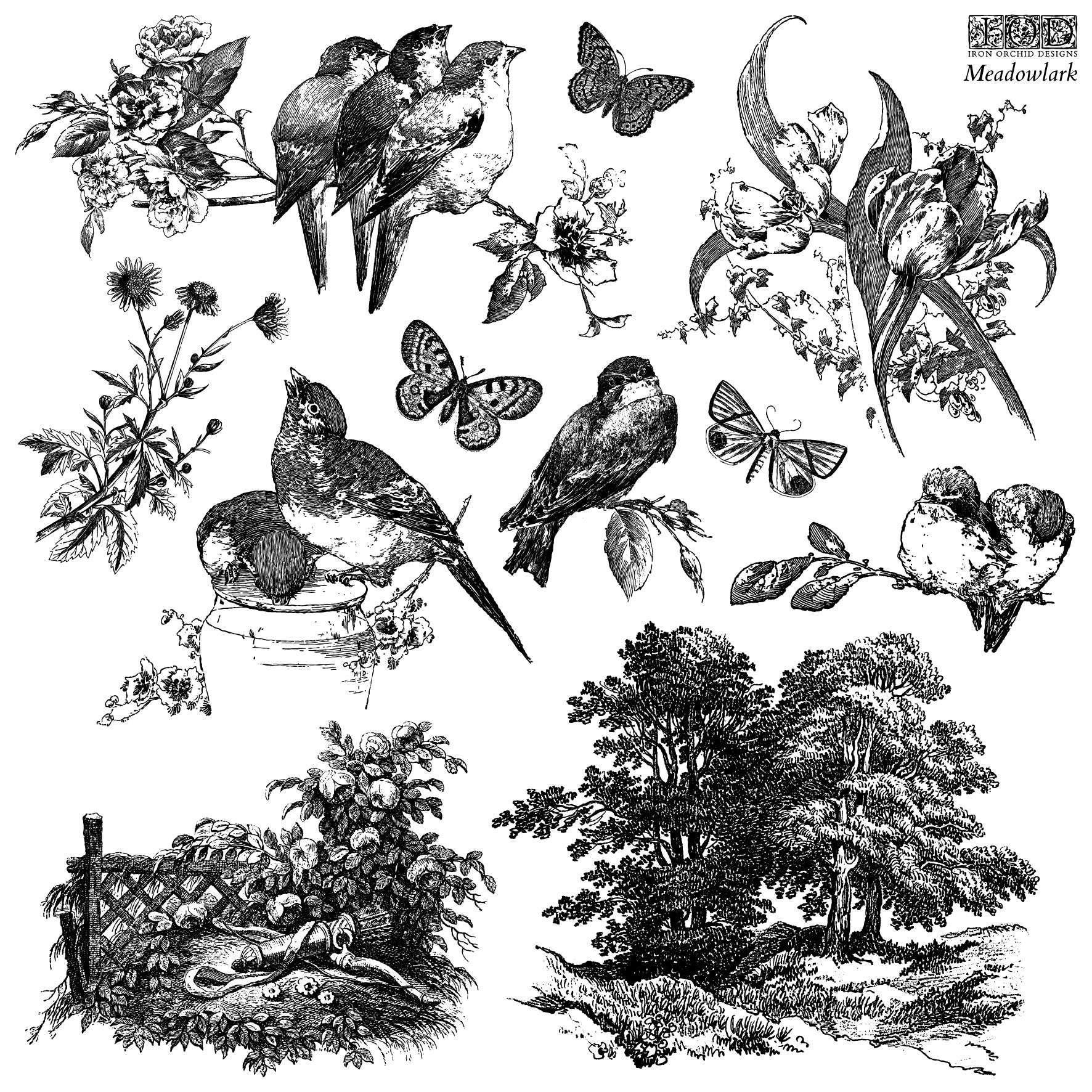 Meadowlark | Stamp | IOD Iron Orchid Designs