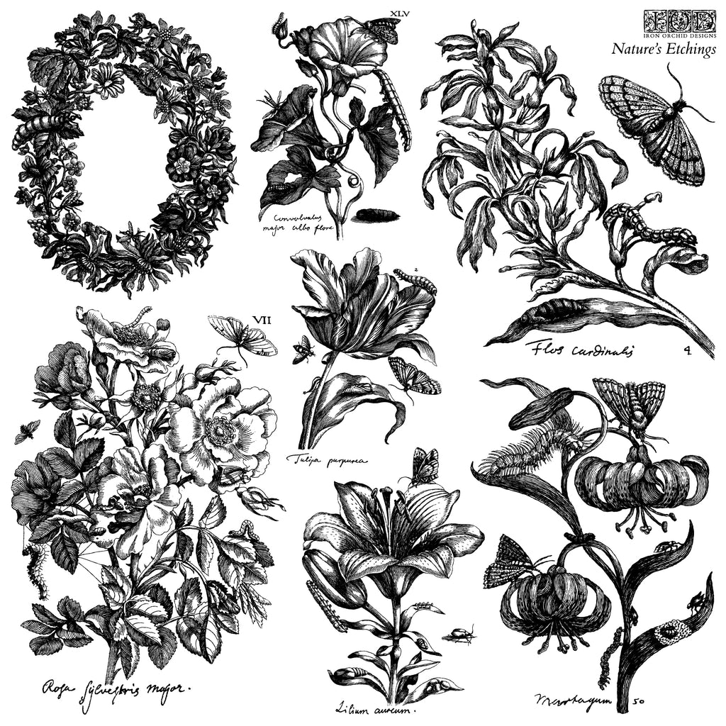 Nature's Etchings | Stamp | IOD Iron Orchid Designs