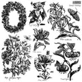 Nature's Etchings | Stamp | IOD Iron Orchid Designs
