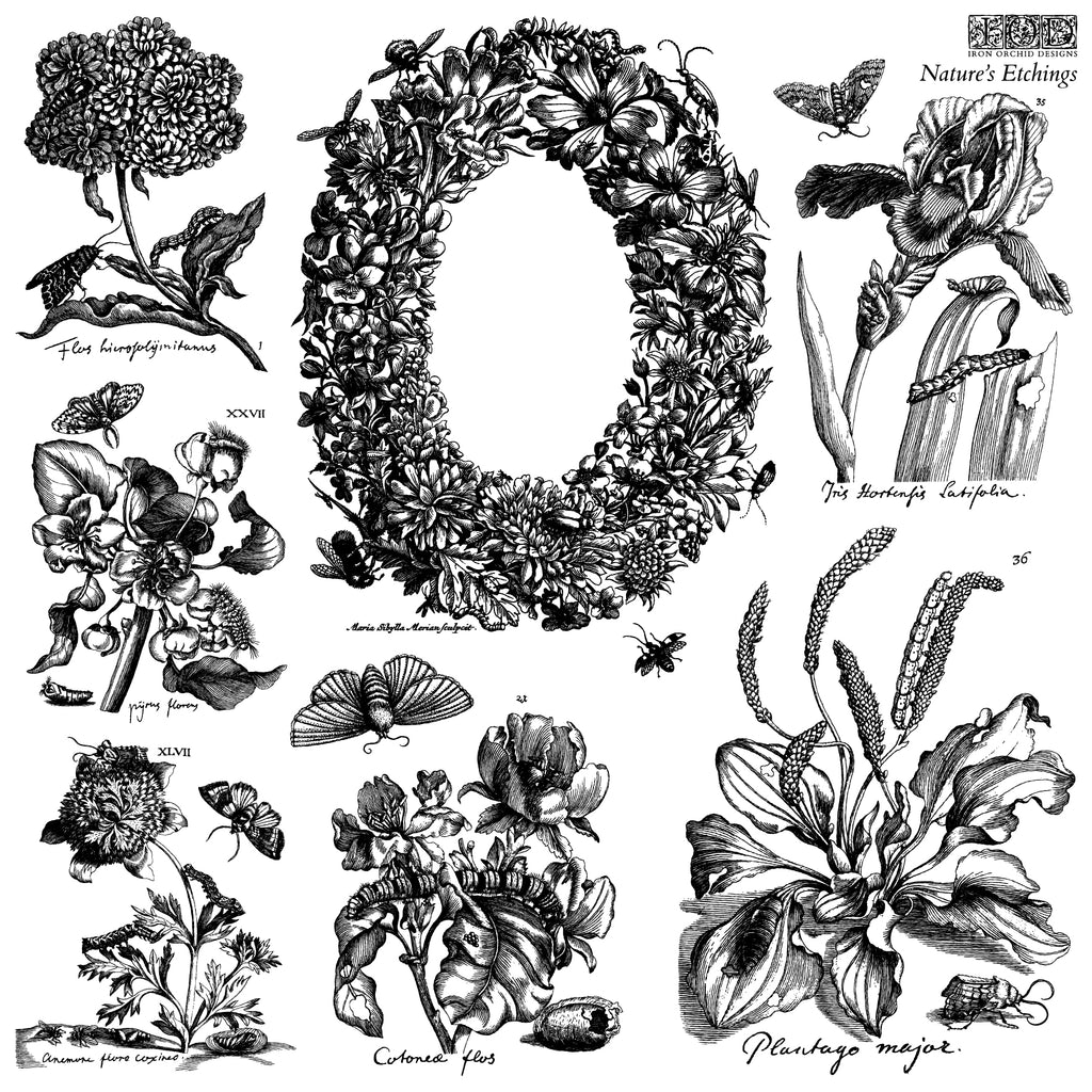Nature's Etchings | Stamp | IOD Iron Orchid Designs