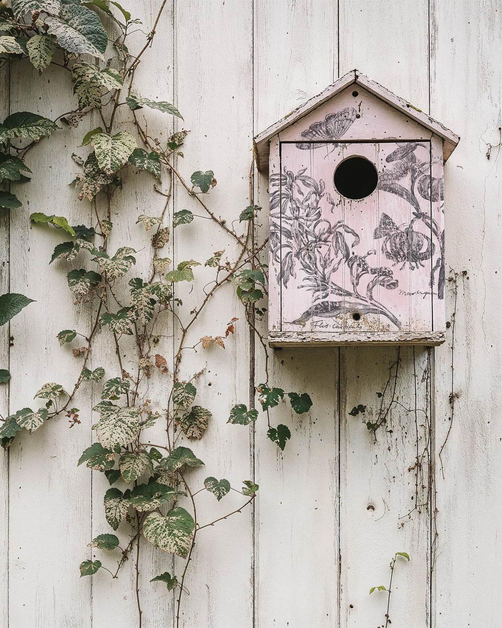 Nature's Etchings | Stamp | IOD Iron Orchid Designs