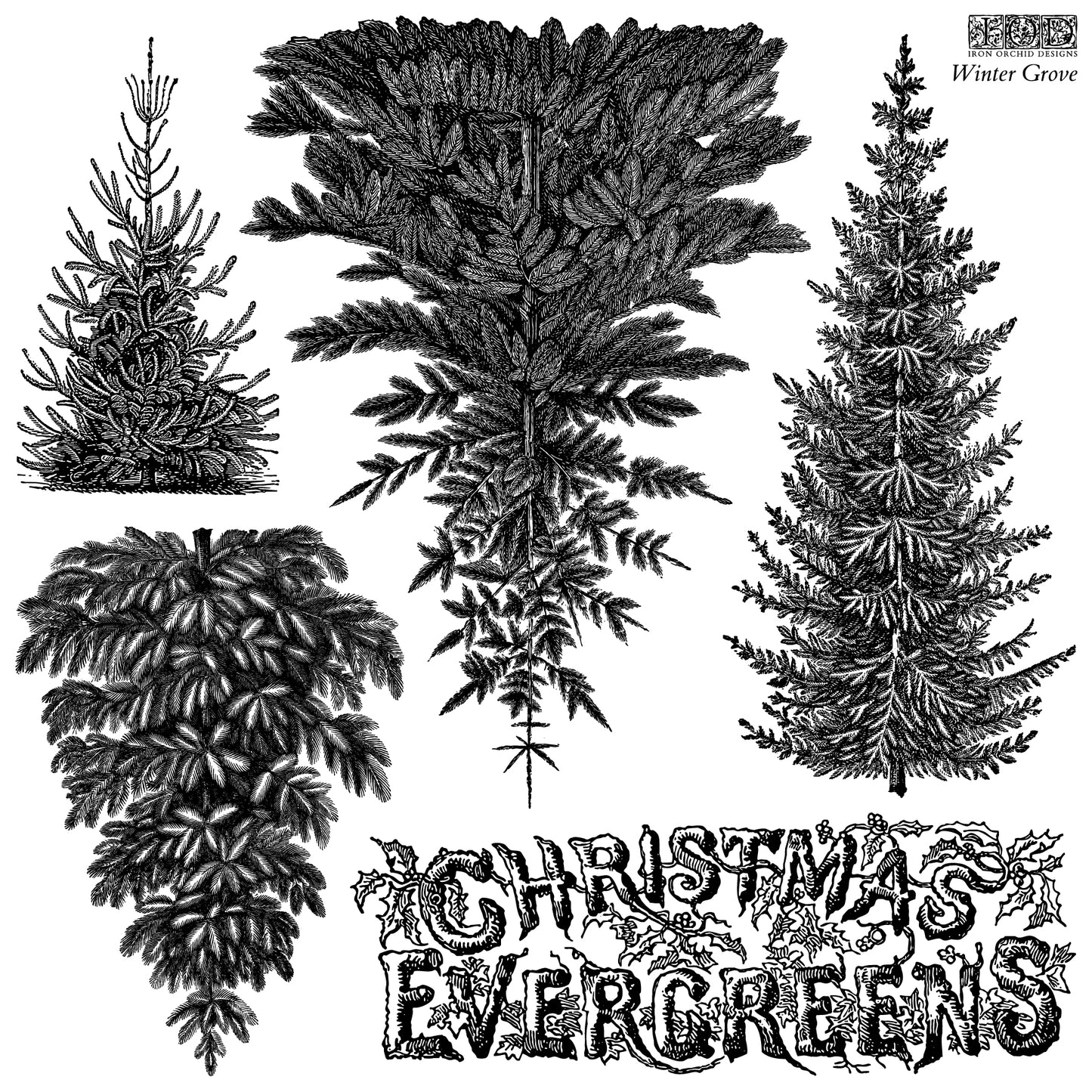 Winter Grove | Stamp | IOD Iron Orchid Designs