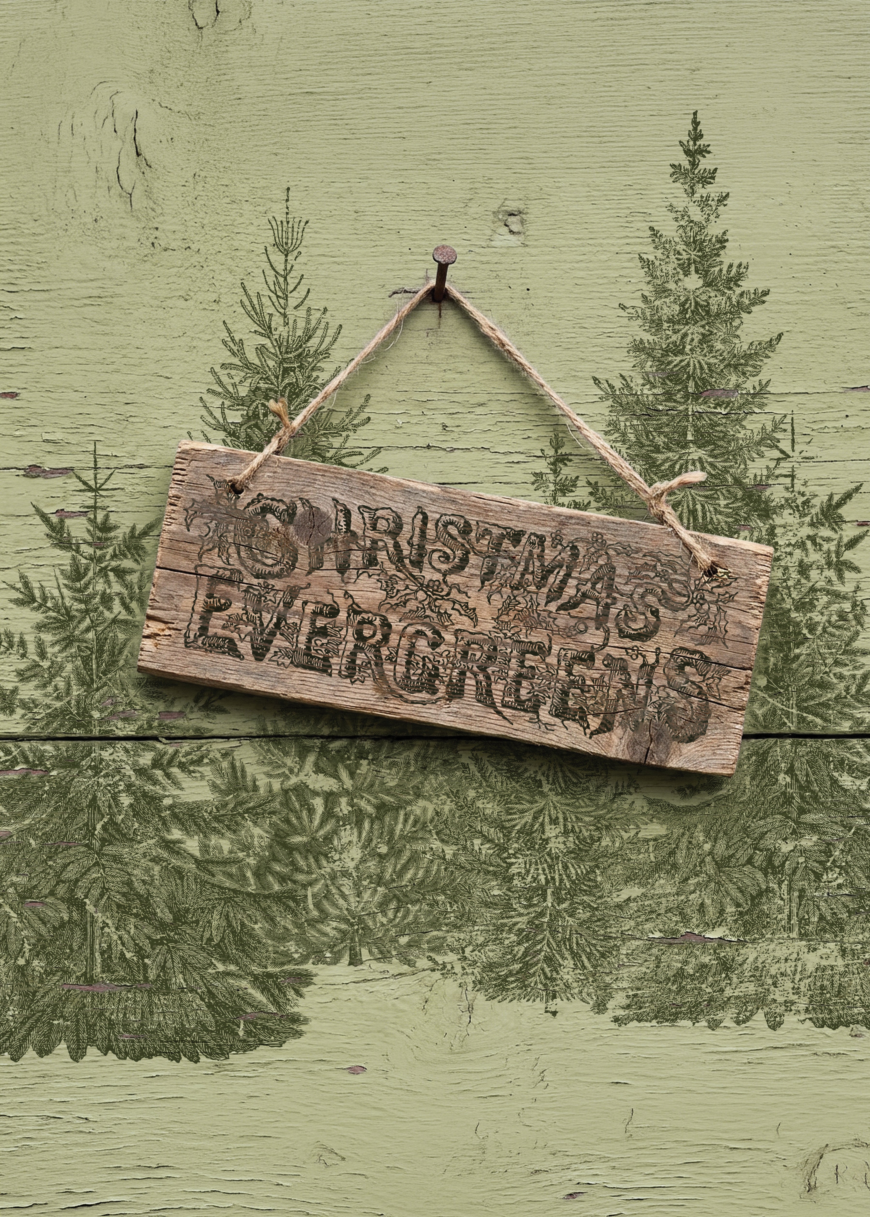 Winter Grove | Stamp | IOD Iron Orchid Designs