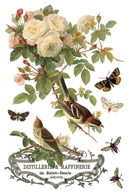By Any Other Name | Transfer | IOD Iron Orchid Designs